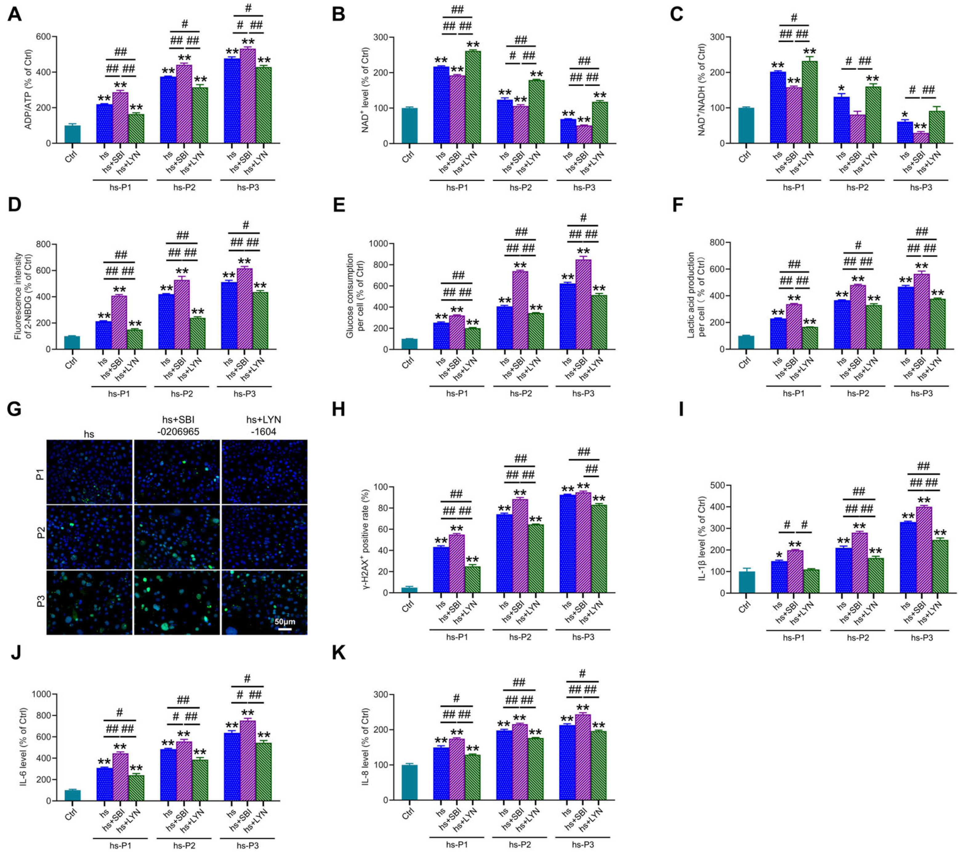 Antioxidants 14 01381 g006