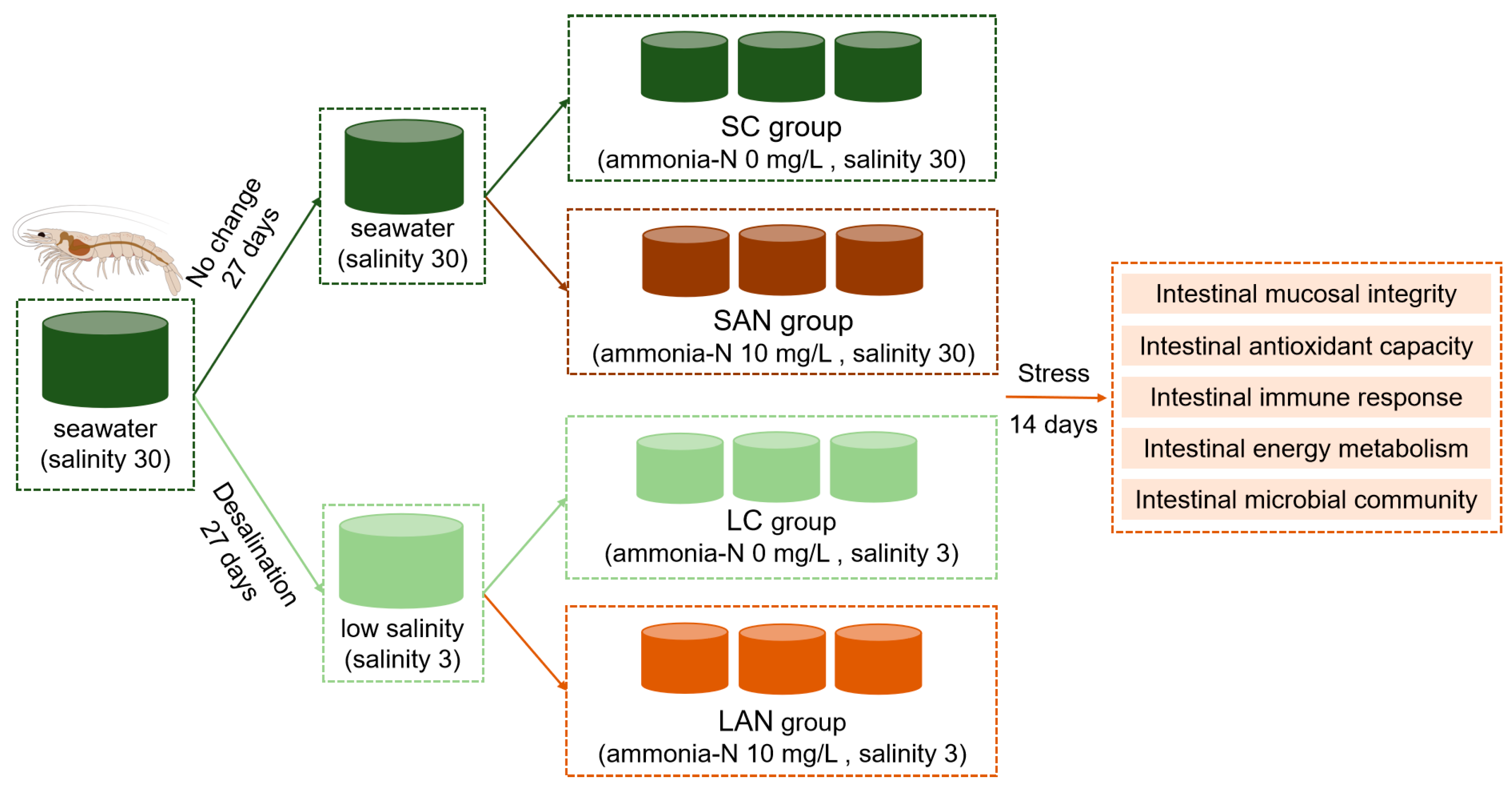 Antioxidants 14 01383 g001
