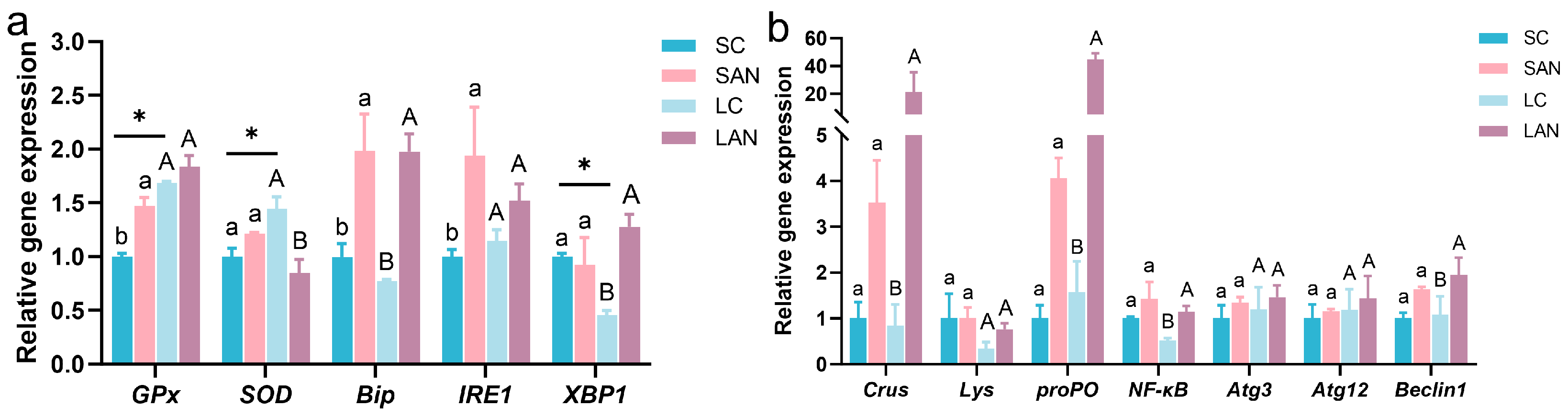 Antioxidants 14 01383 g003