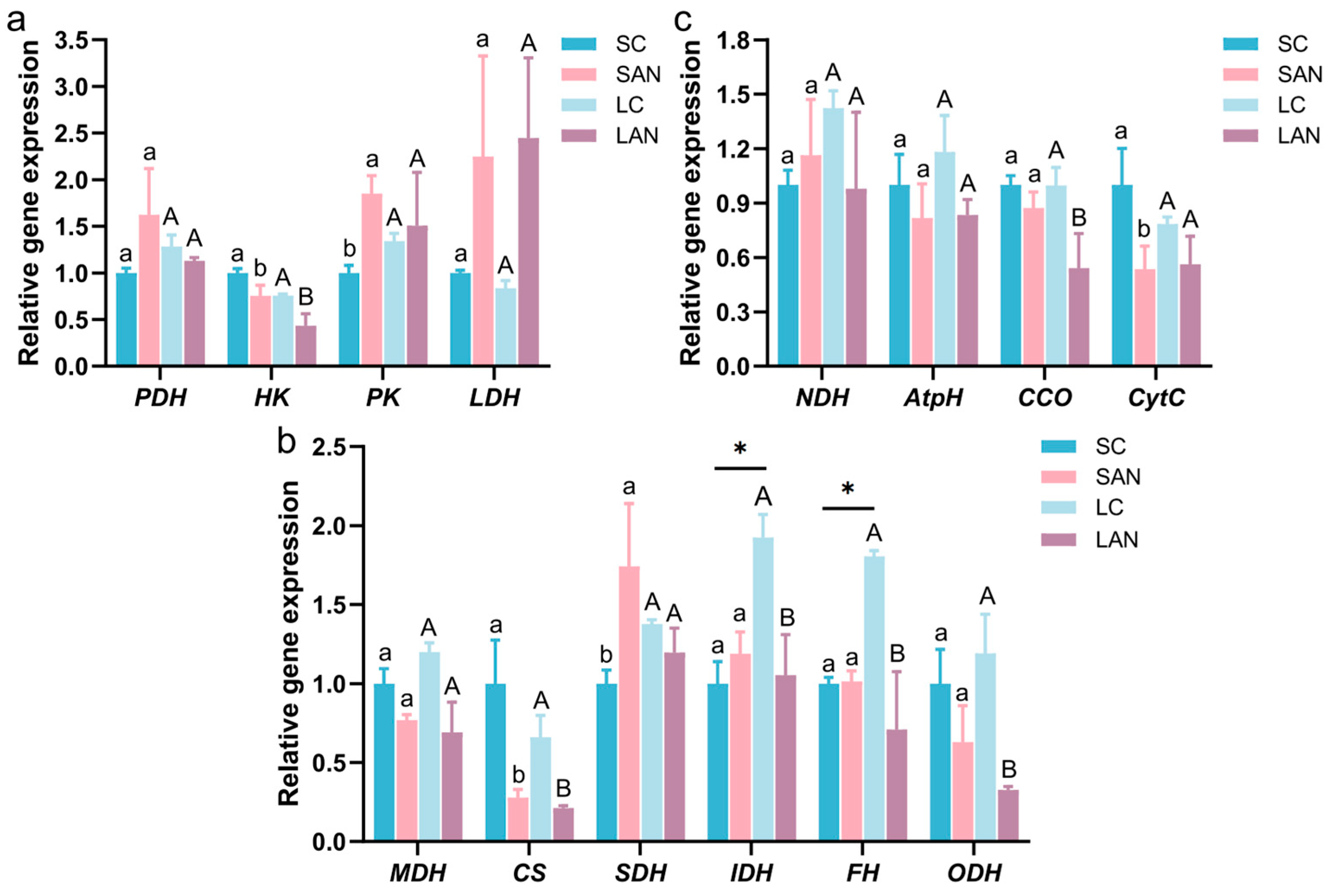 Antioxidants 14 01383 g004