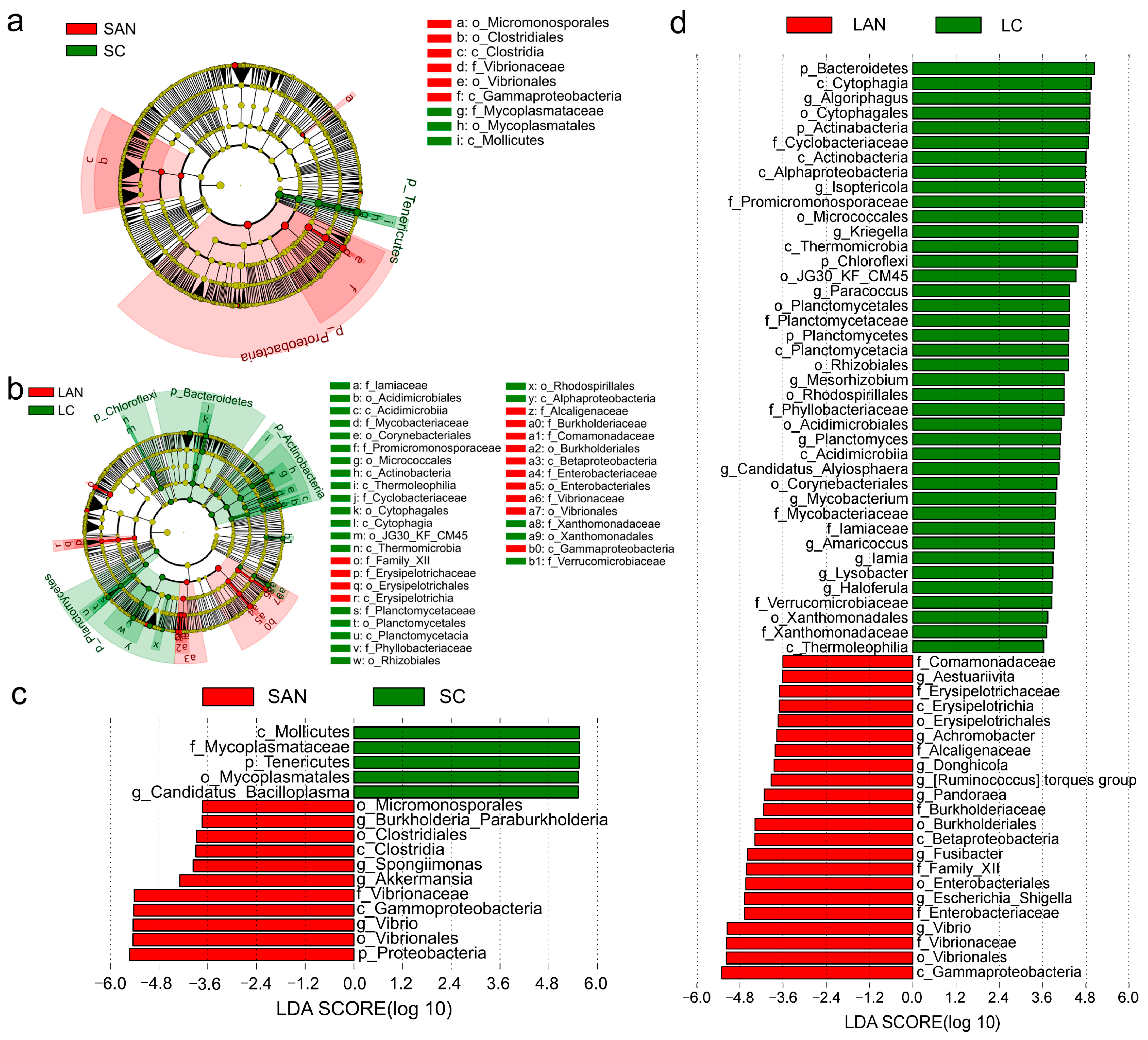 Antioxidants 14 01383 g007