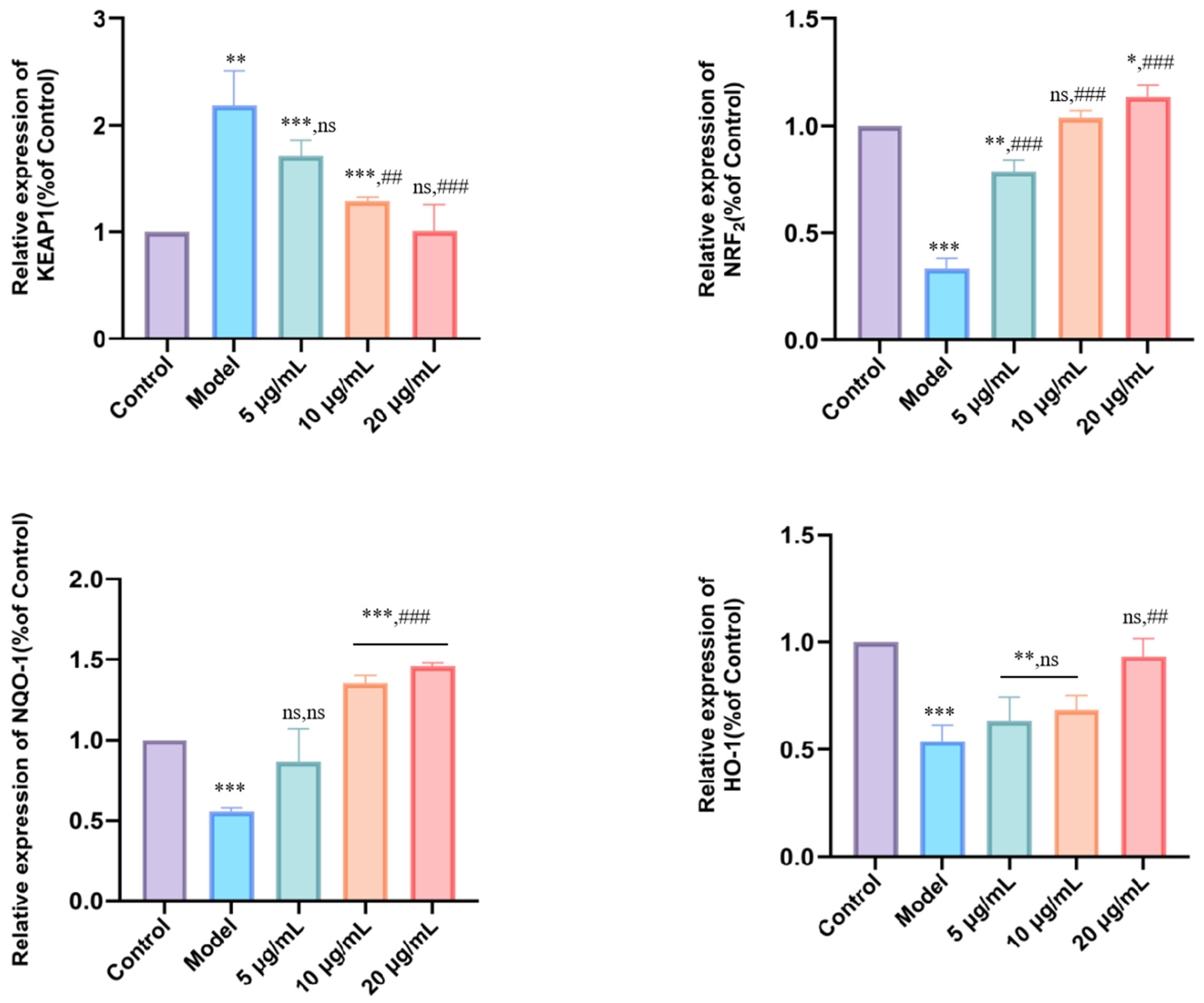 Antioxidants 14 01384 g007
