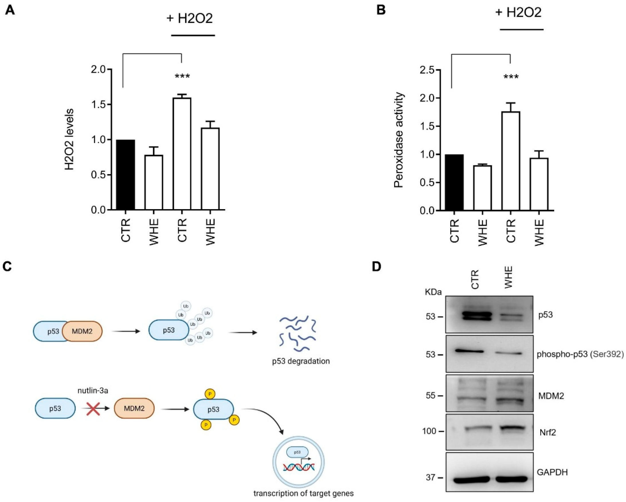 Antioxidants 14 01385 g003