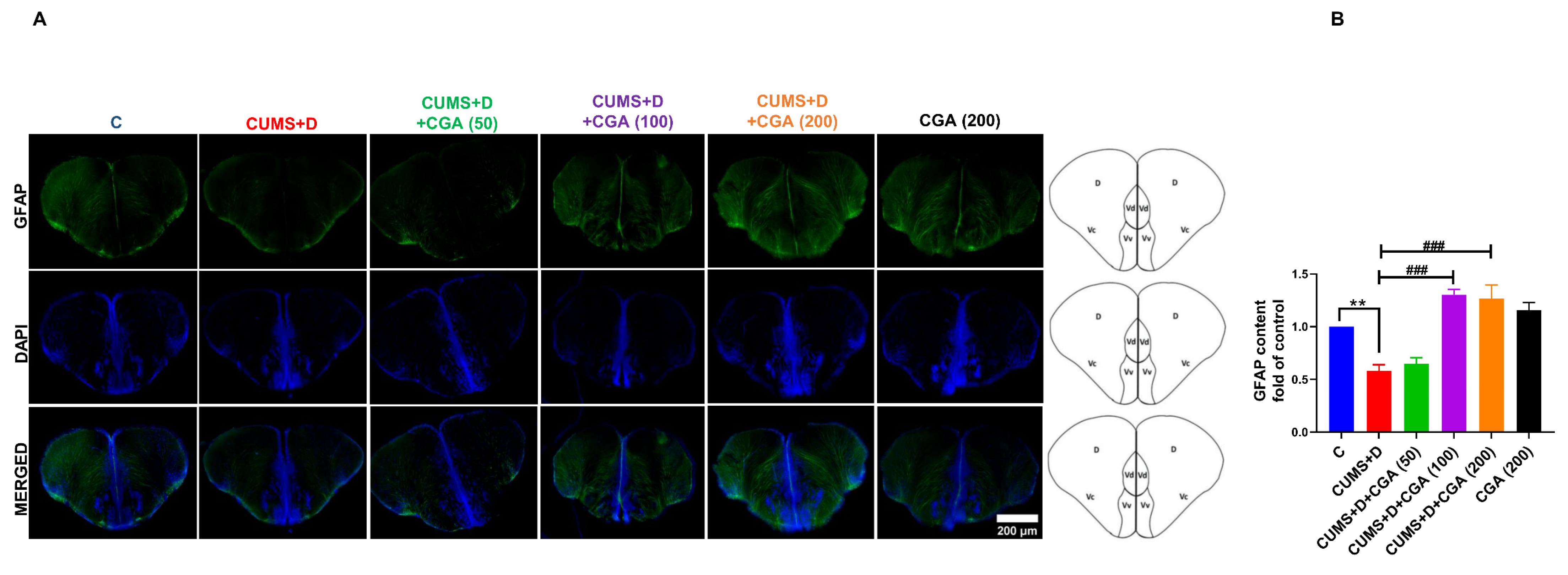 Antioxidants 14 01386 g008