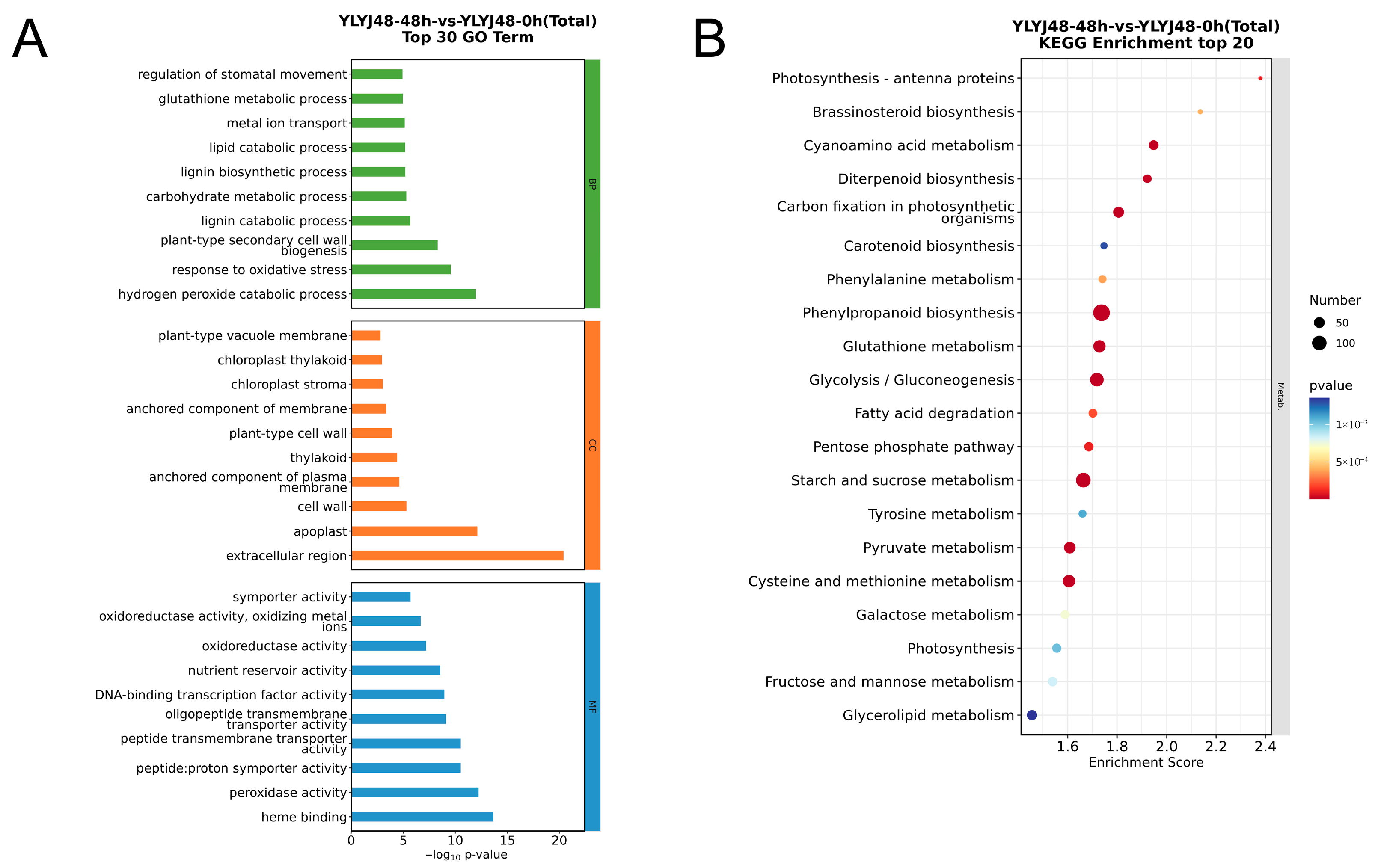 Antioxidants 14 01387 g003