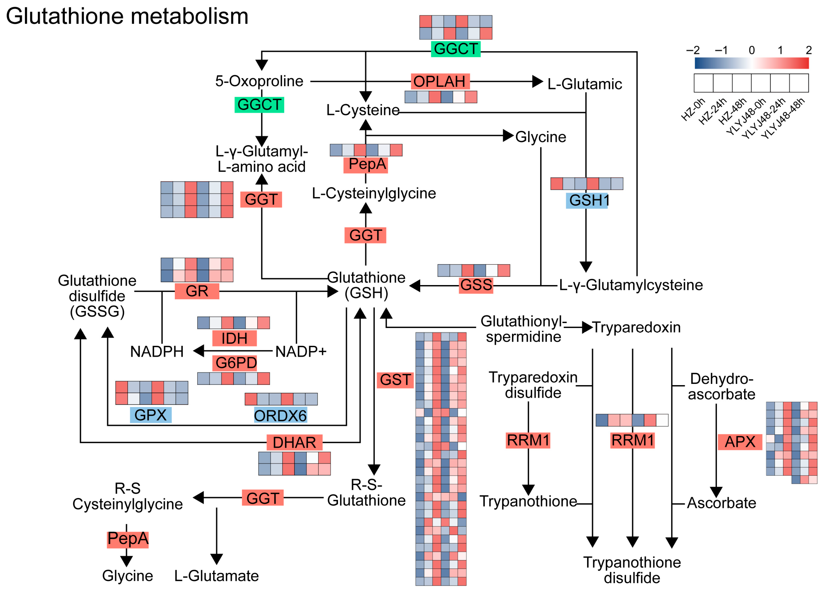 Antioxidants 14 01387 g004