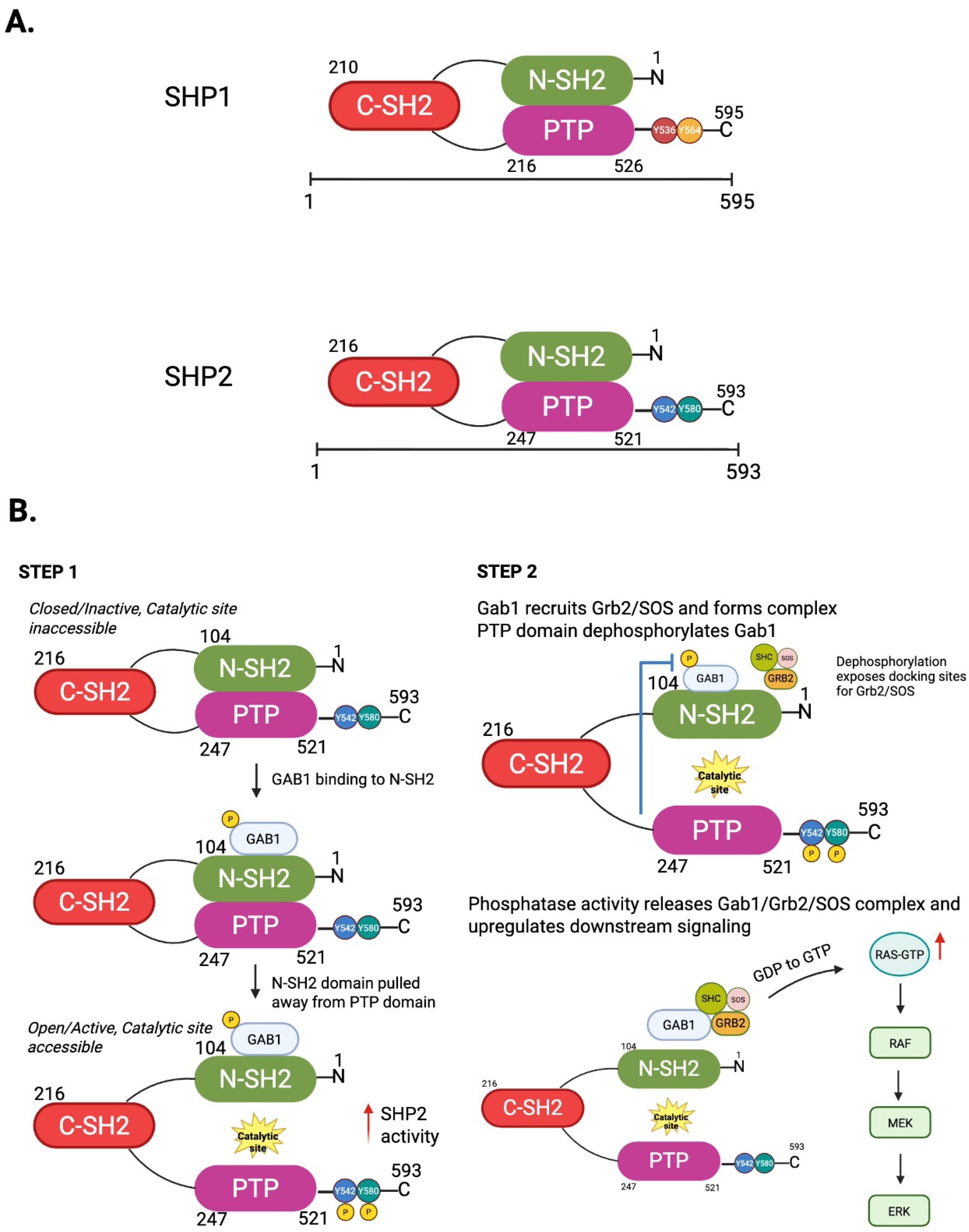 Antioxidants 14 01388 g001