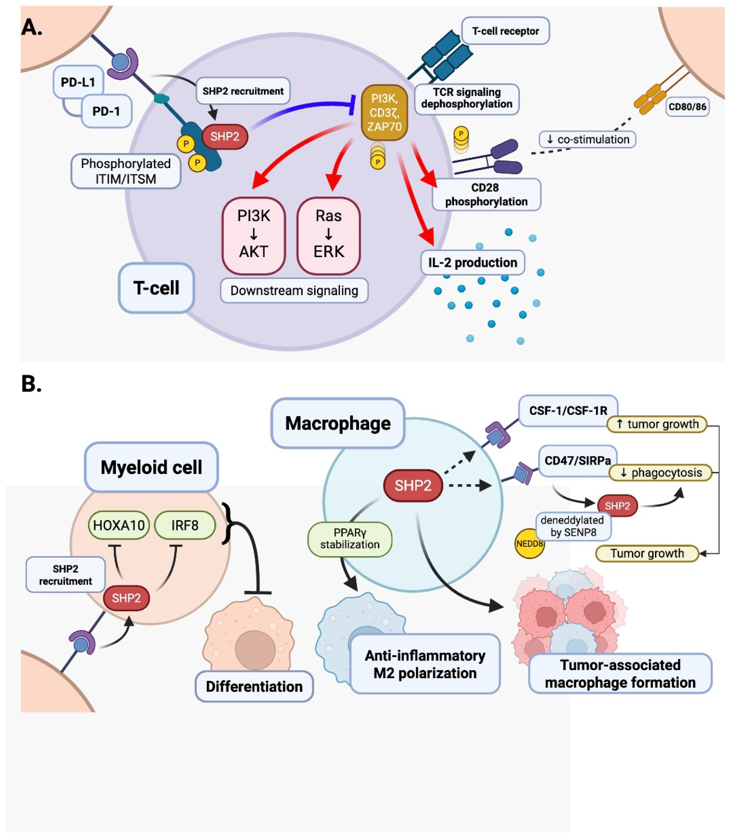Antioxidants 14 01388 g006