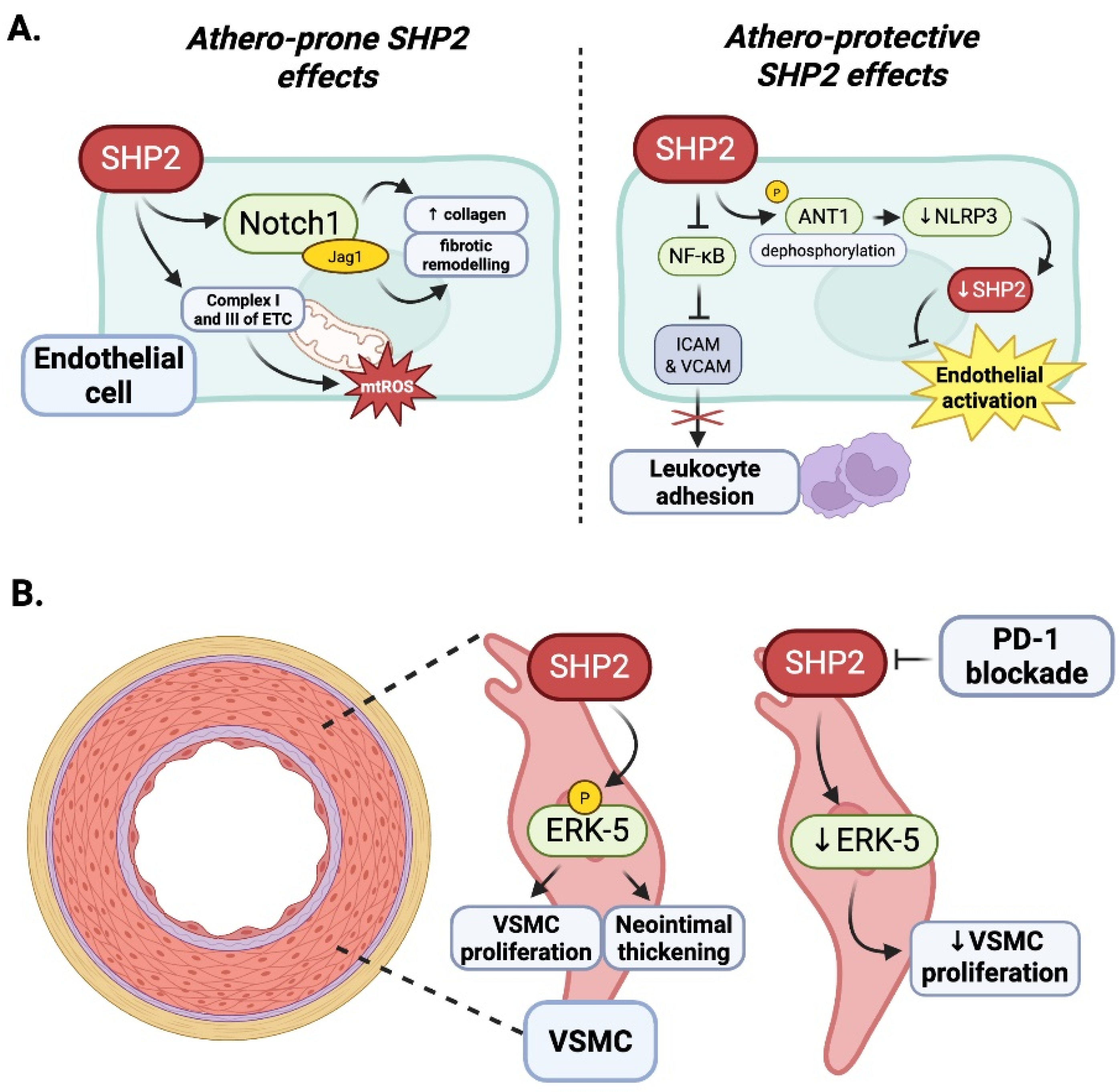 Antioxidants 14 01388 g007
