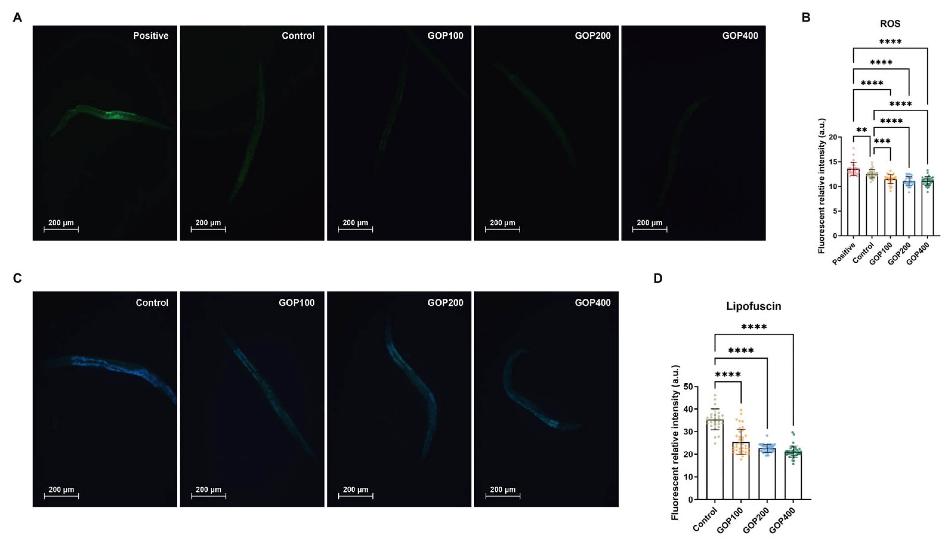 Antioxidants 14 01390 g006