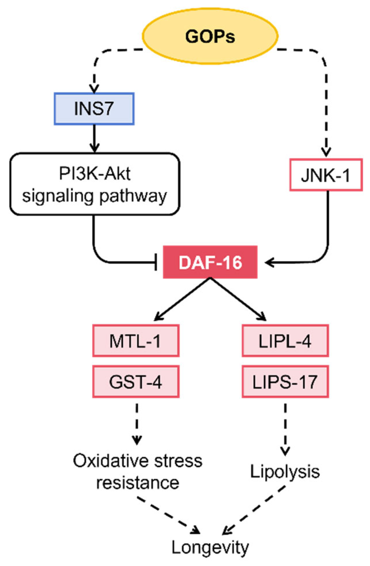 Antioxidants 14 01390 g008