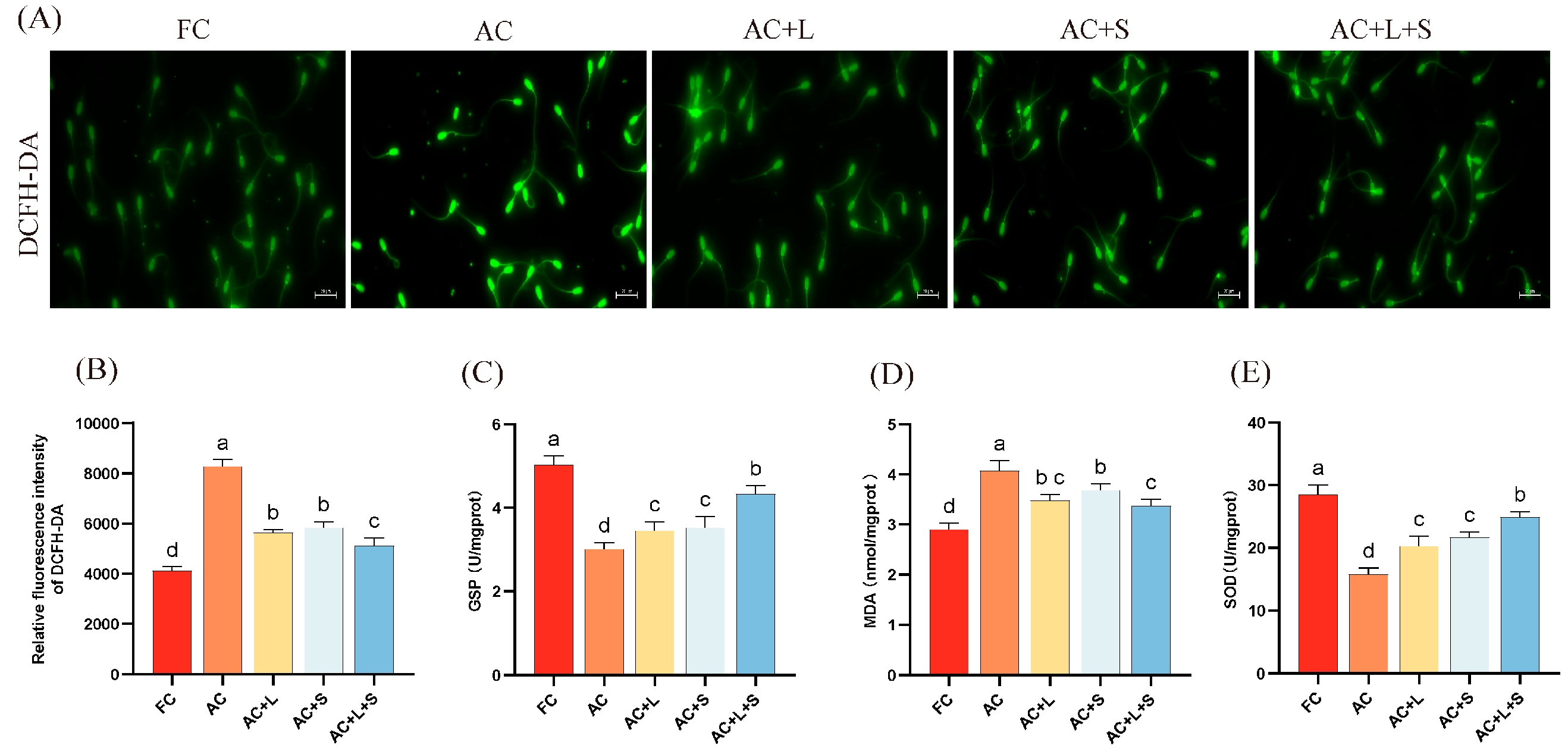 Antioxidants 14 01391 g003