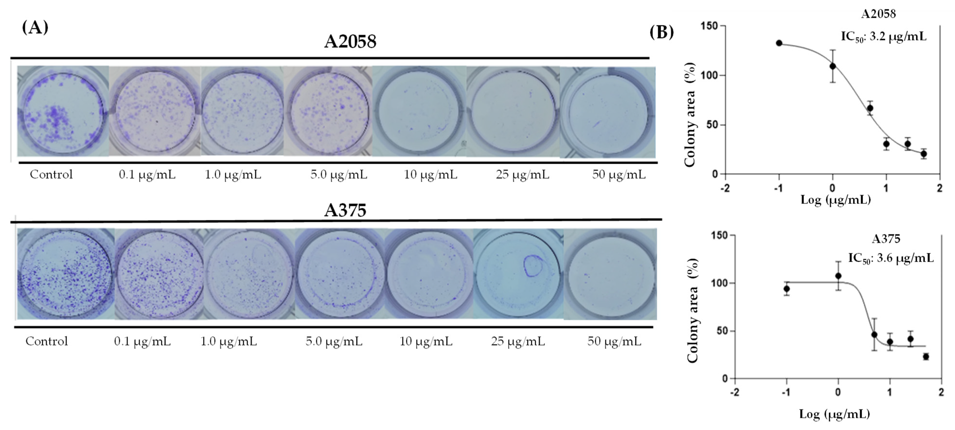 Antioxidants 14 01392 g006