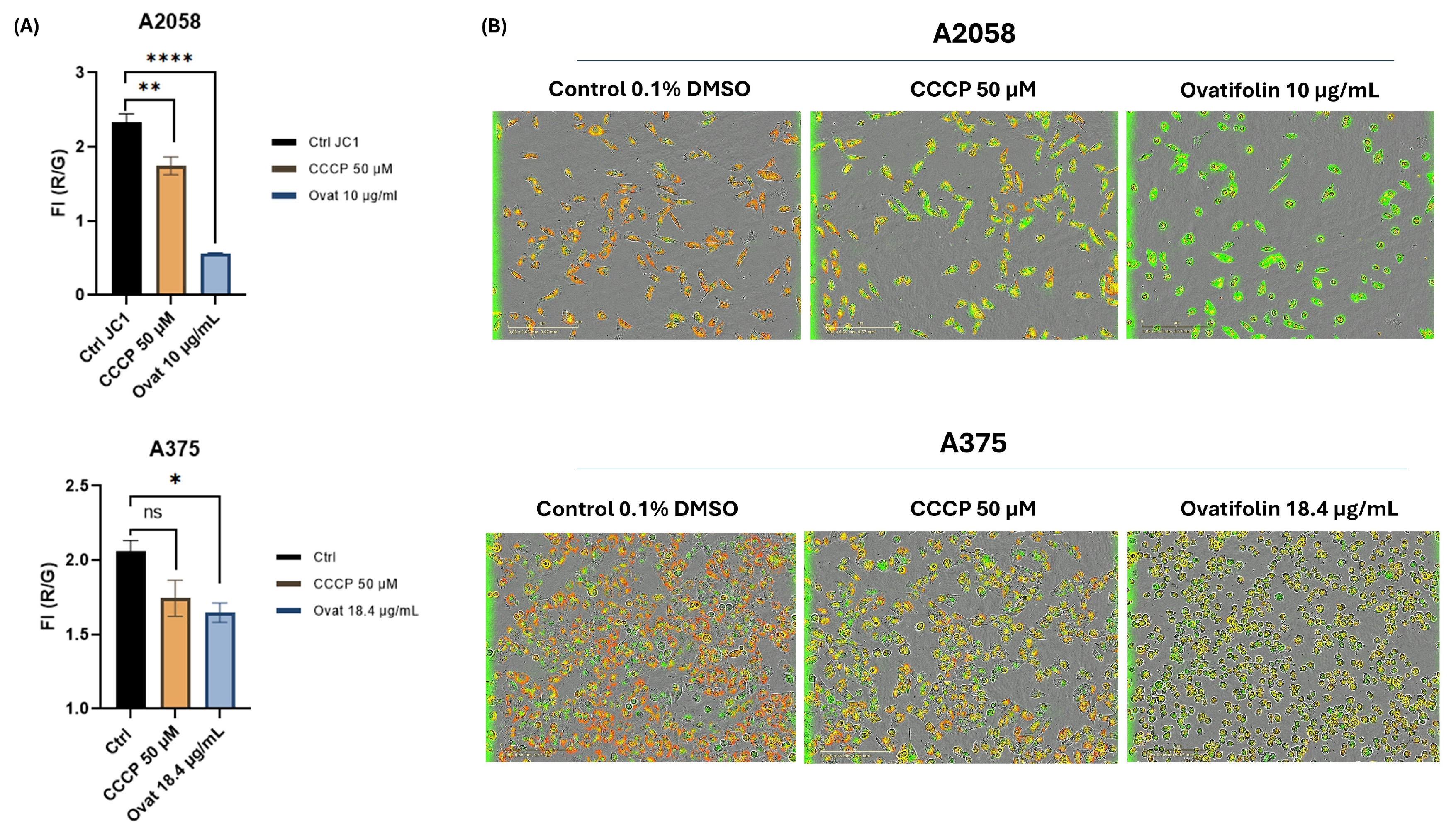 Antioxidants 14 01392 g010