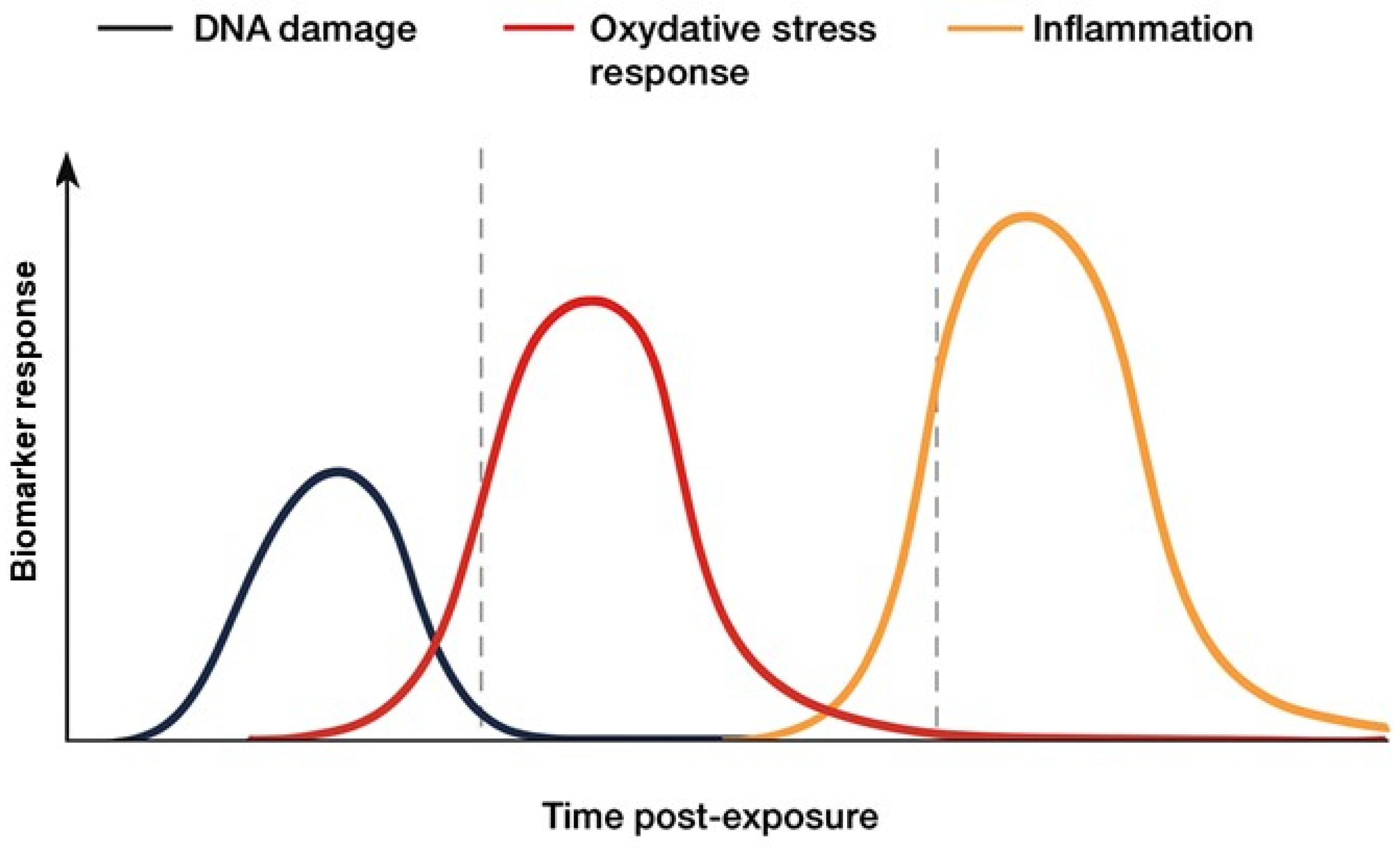 Antioxidants 14 01393 g004 Antioxidants 14 01393 g004