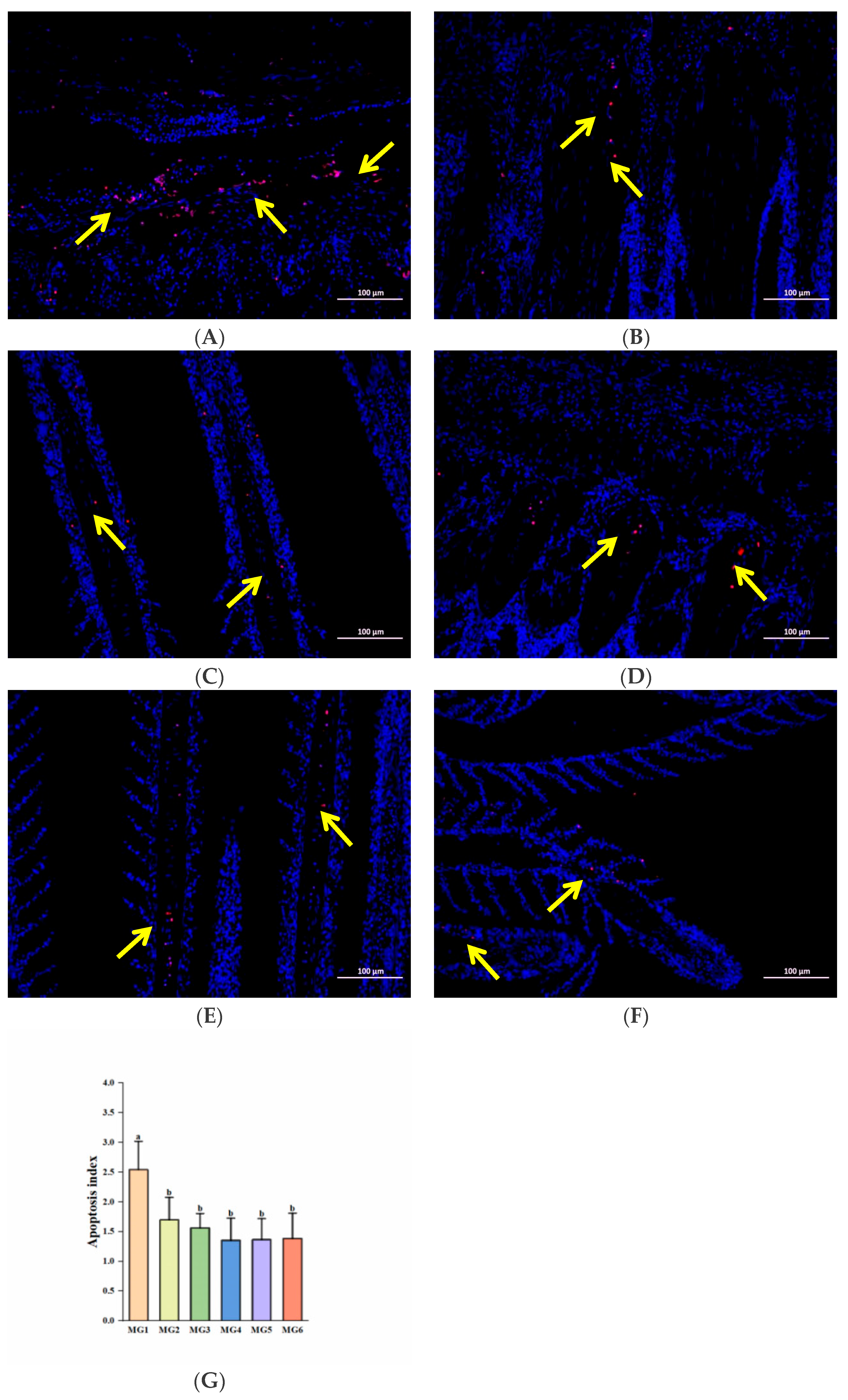 Antioxidants 14 01394 g008