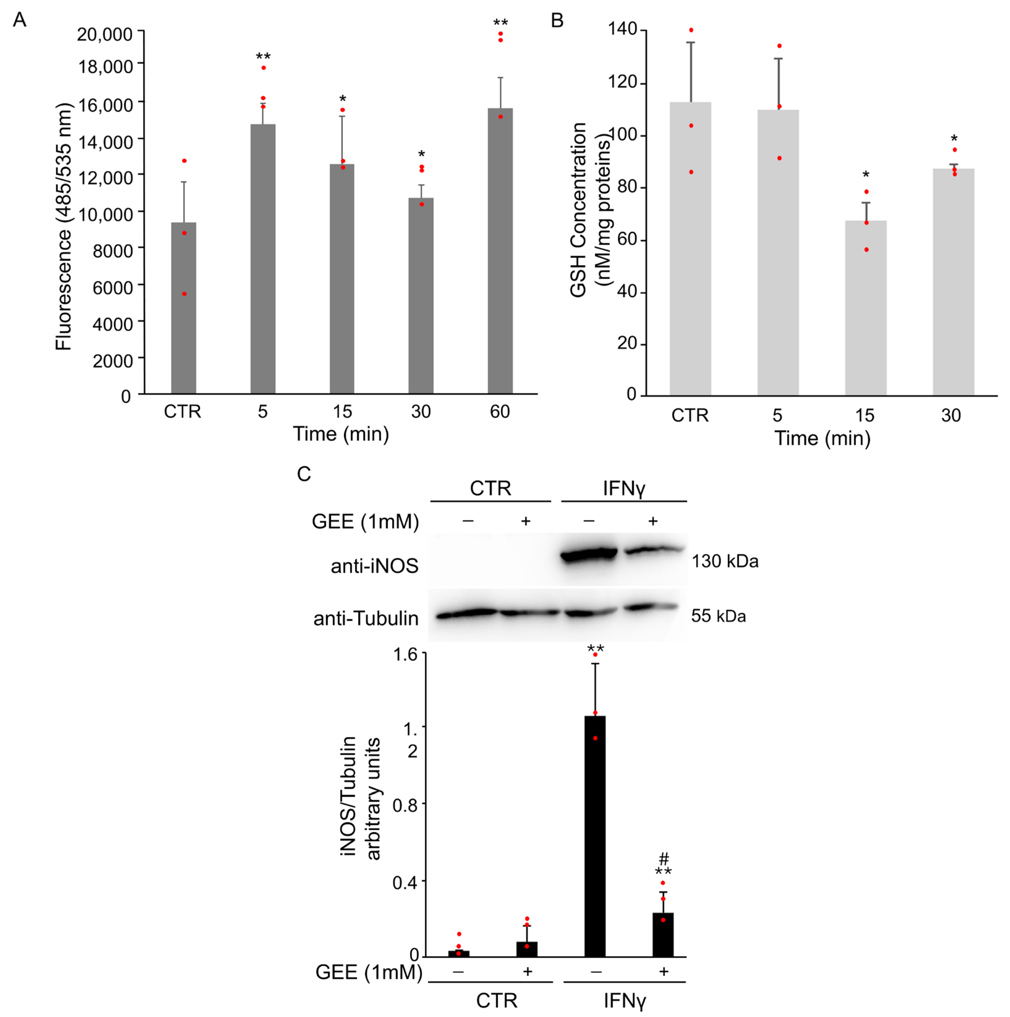 Antioxidants 14 01395 g002