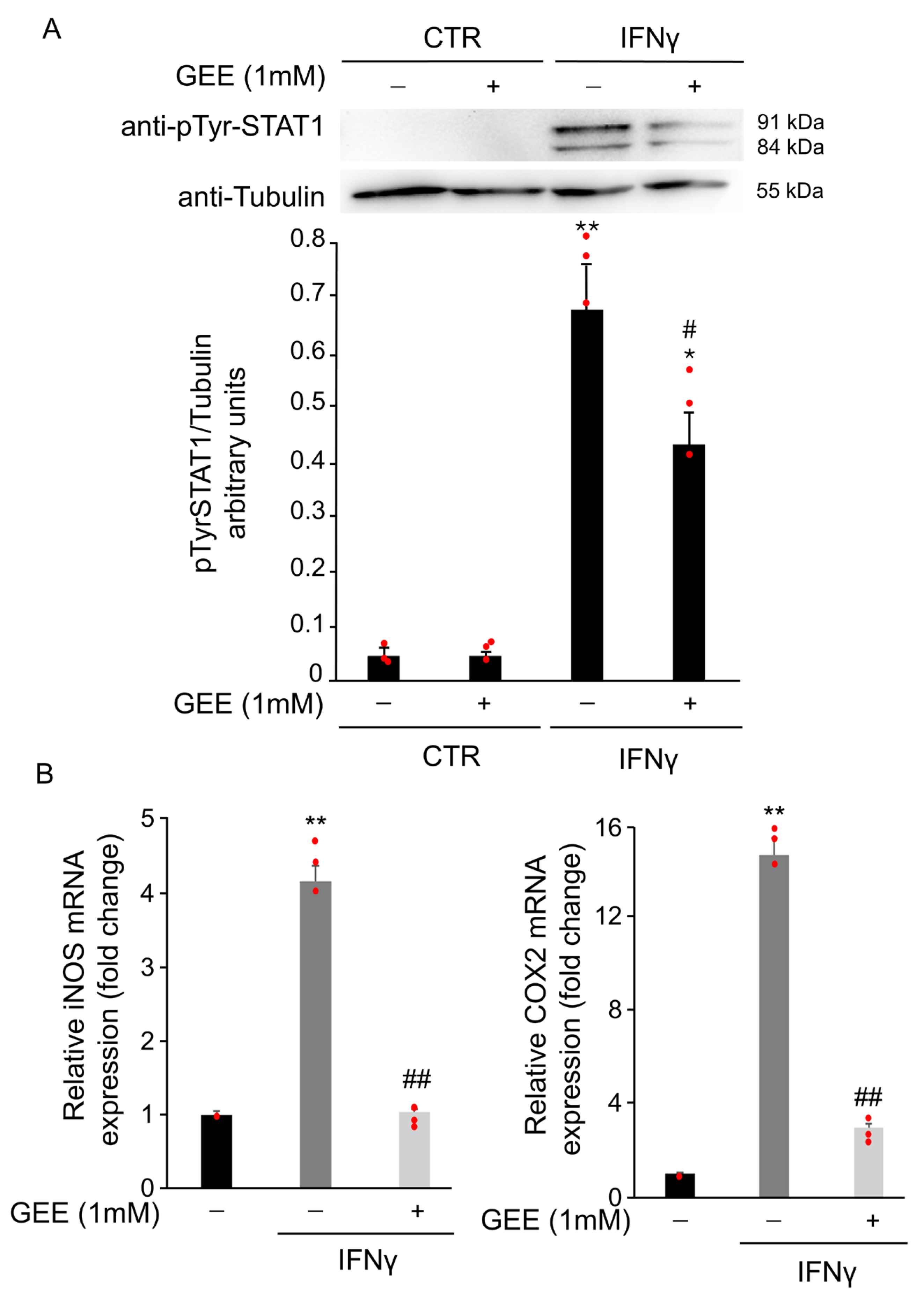 Antioxidants 14 01395 g004