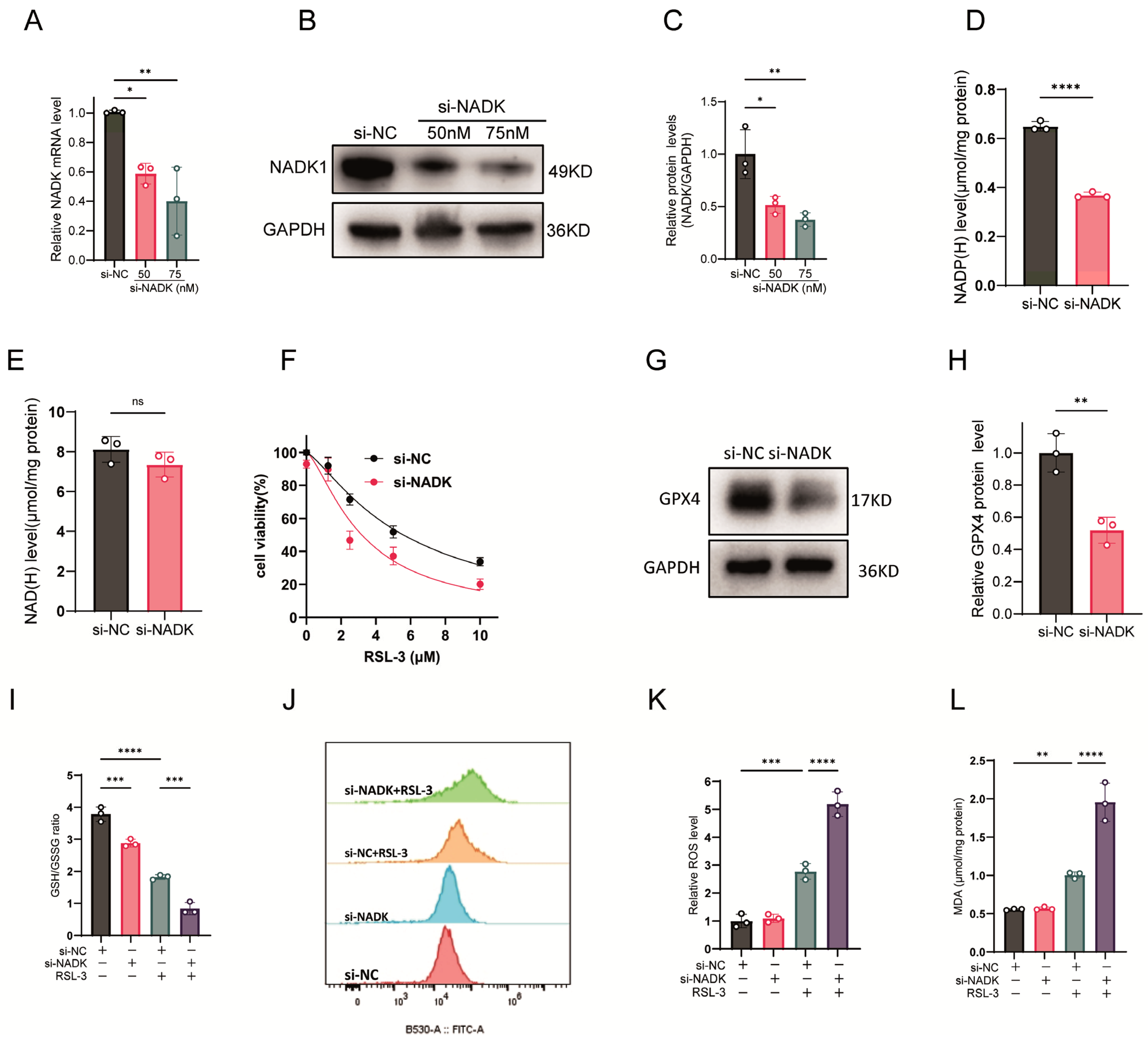 Antioxidants 14 01396 g002