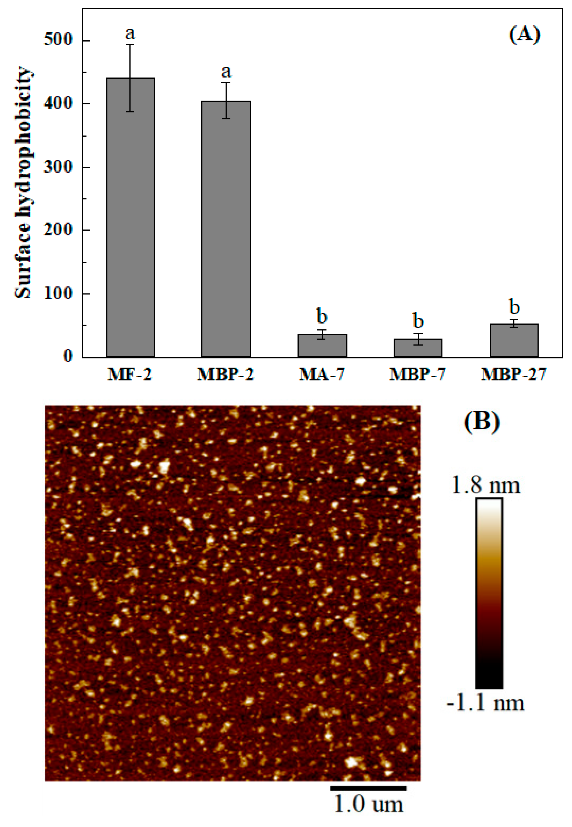 Antioxidants 14 01399 g004