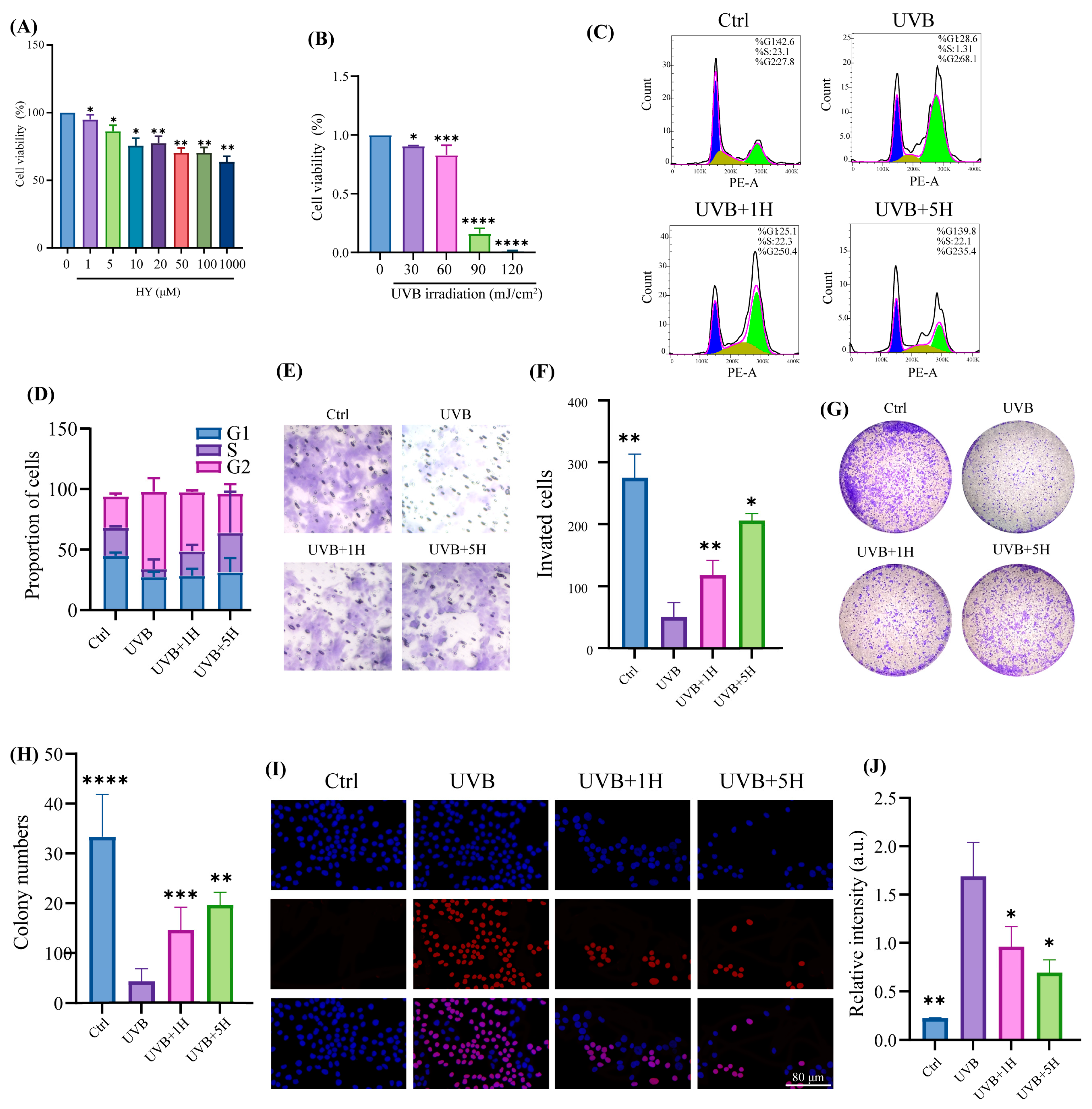 Antioxidants 14 01401 g001