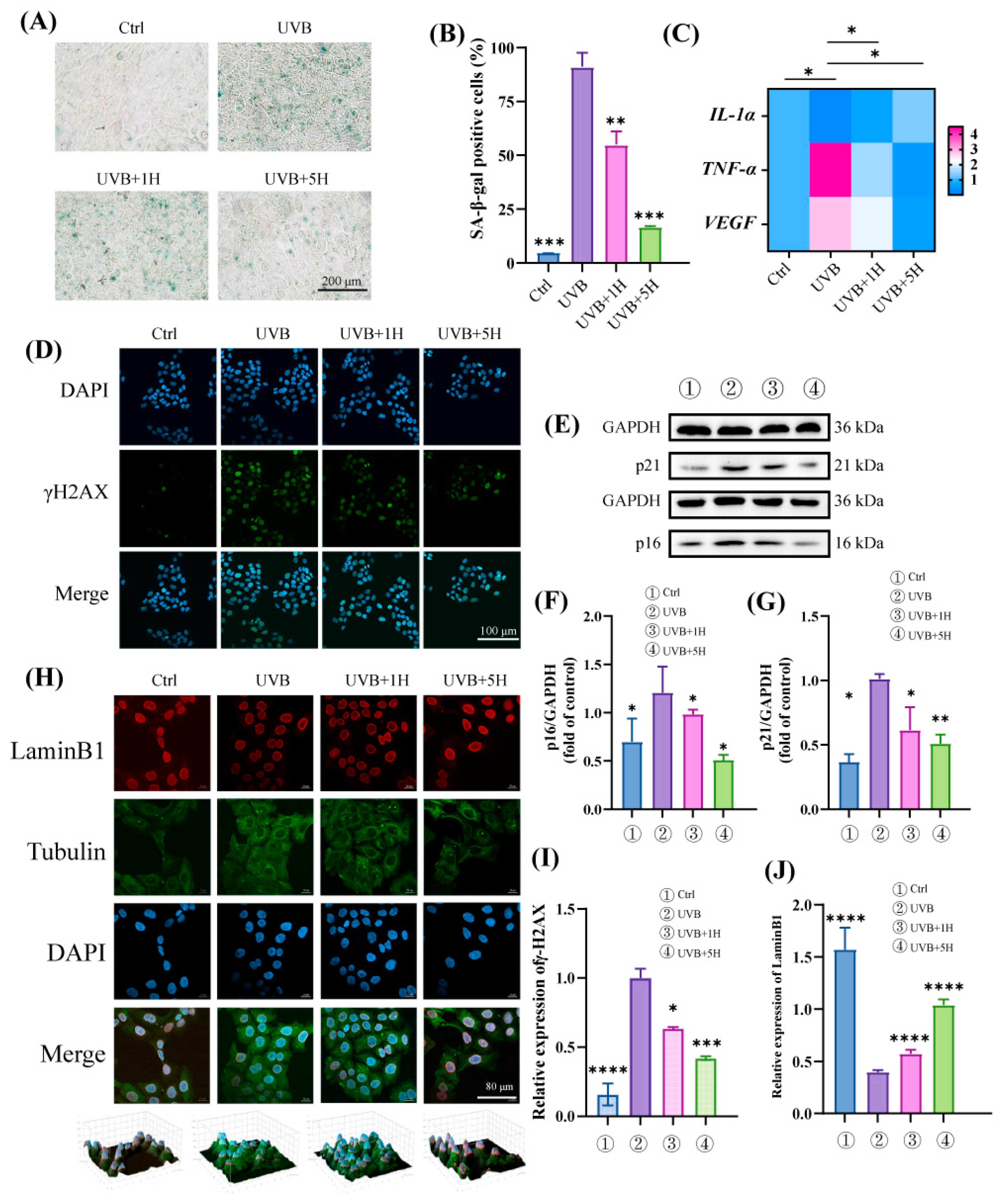 Antioxidants 14 01401 g002