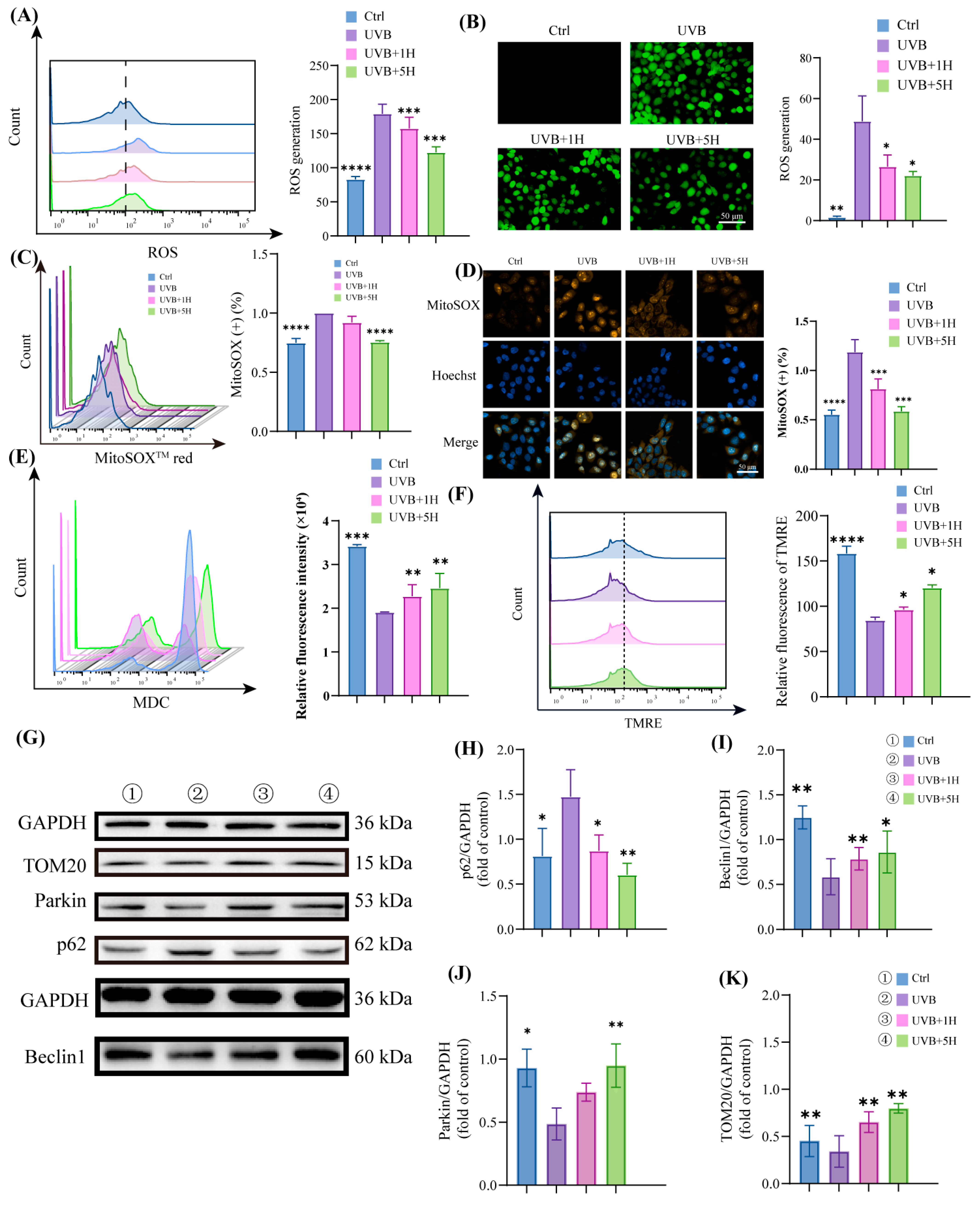 Antioxidants 14 01401 g003