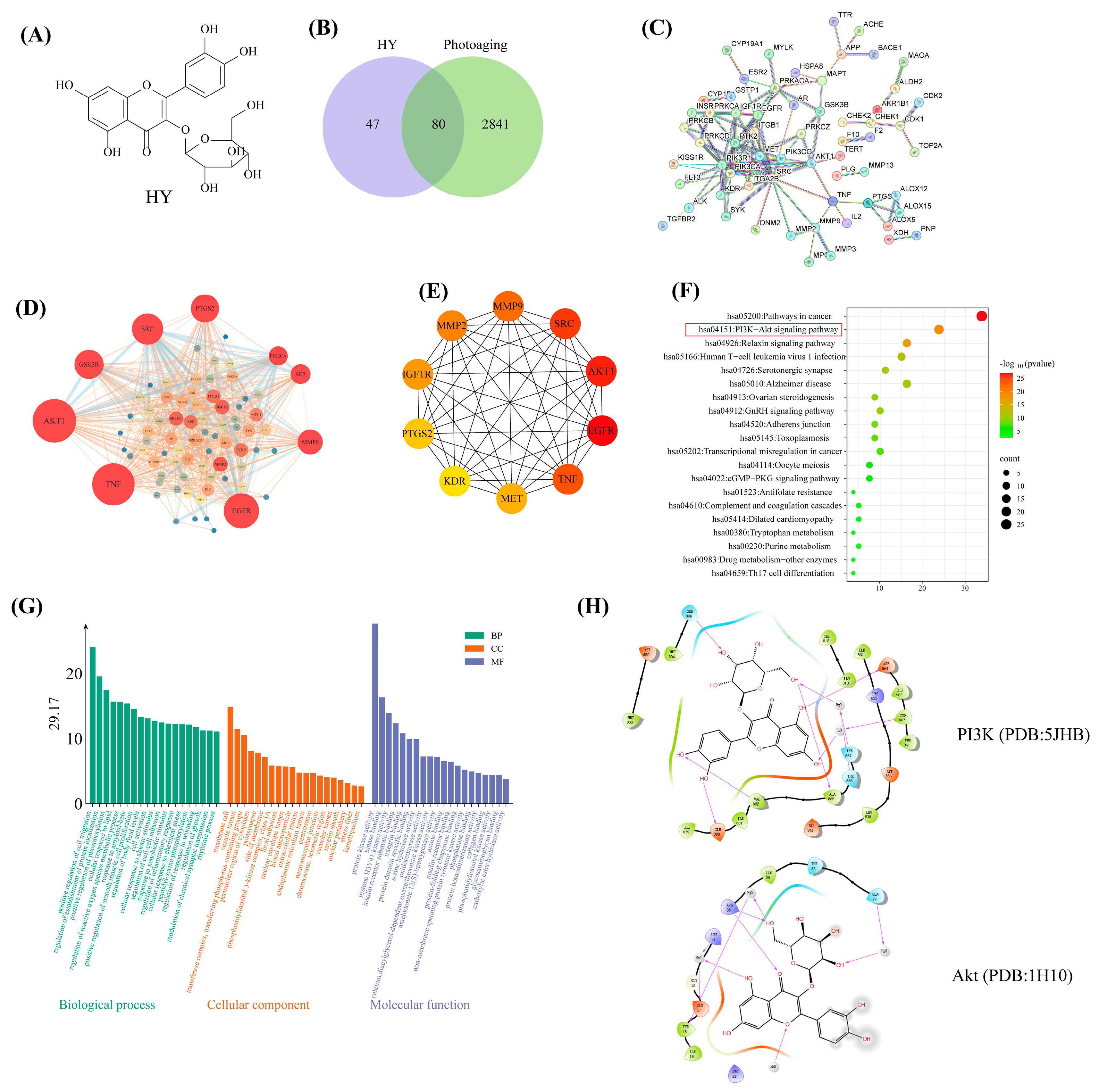 Antioxidants 14 01401 g005