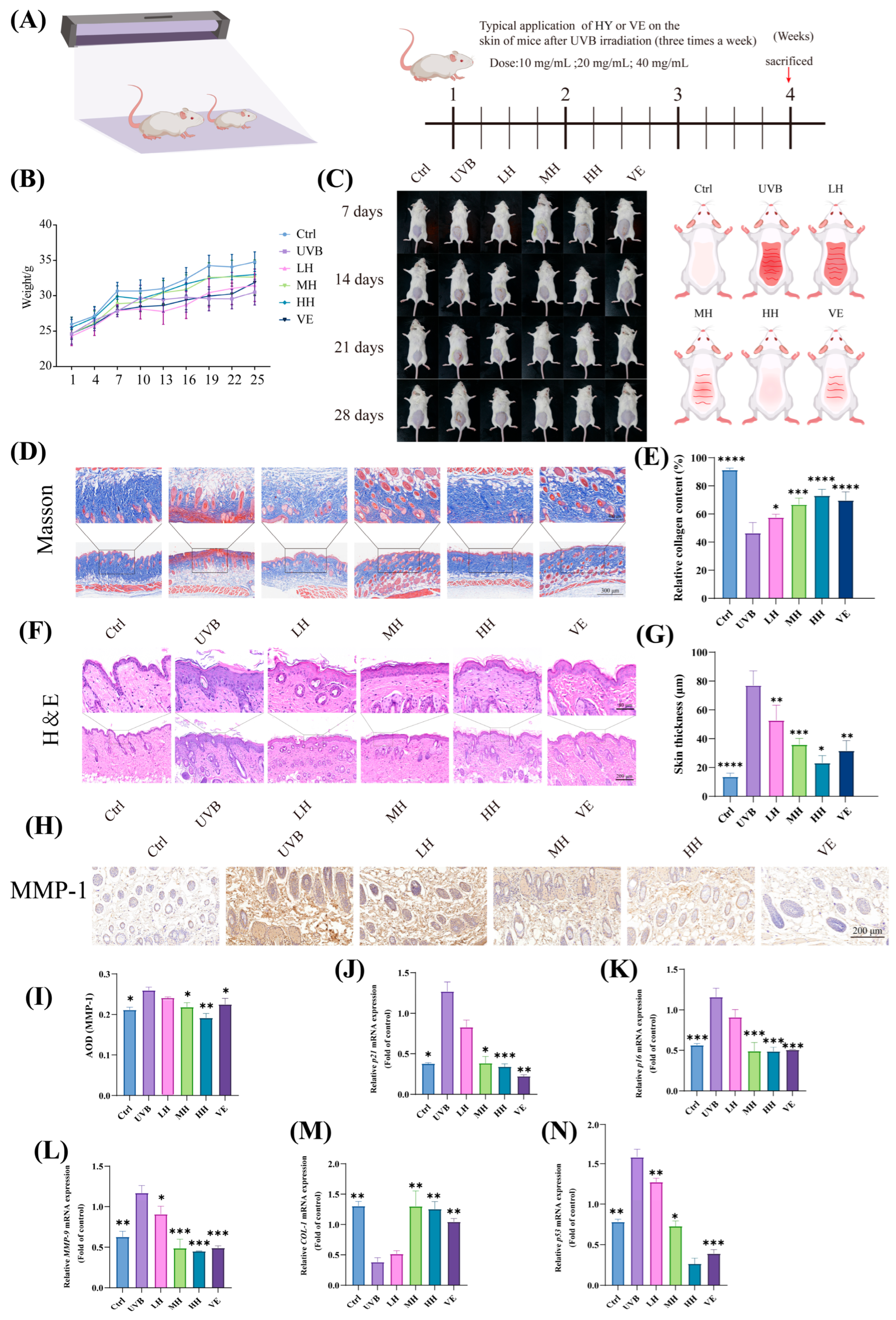 Antioxidants 14 01401 g008