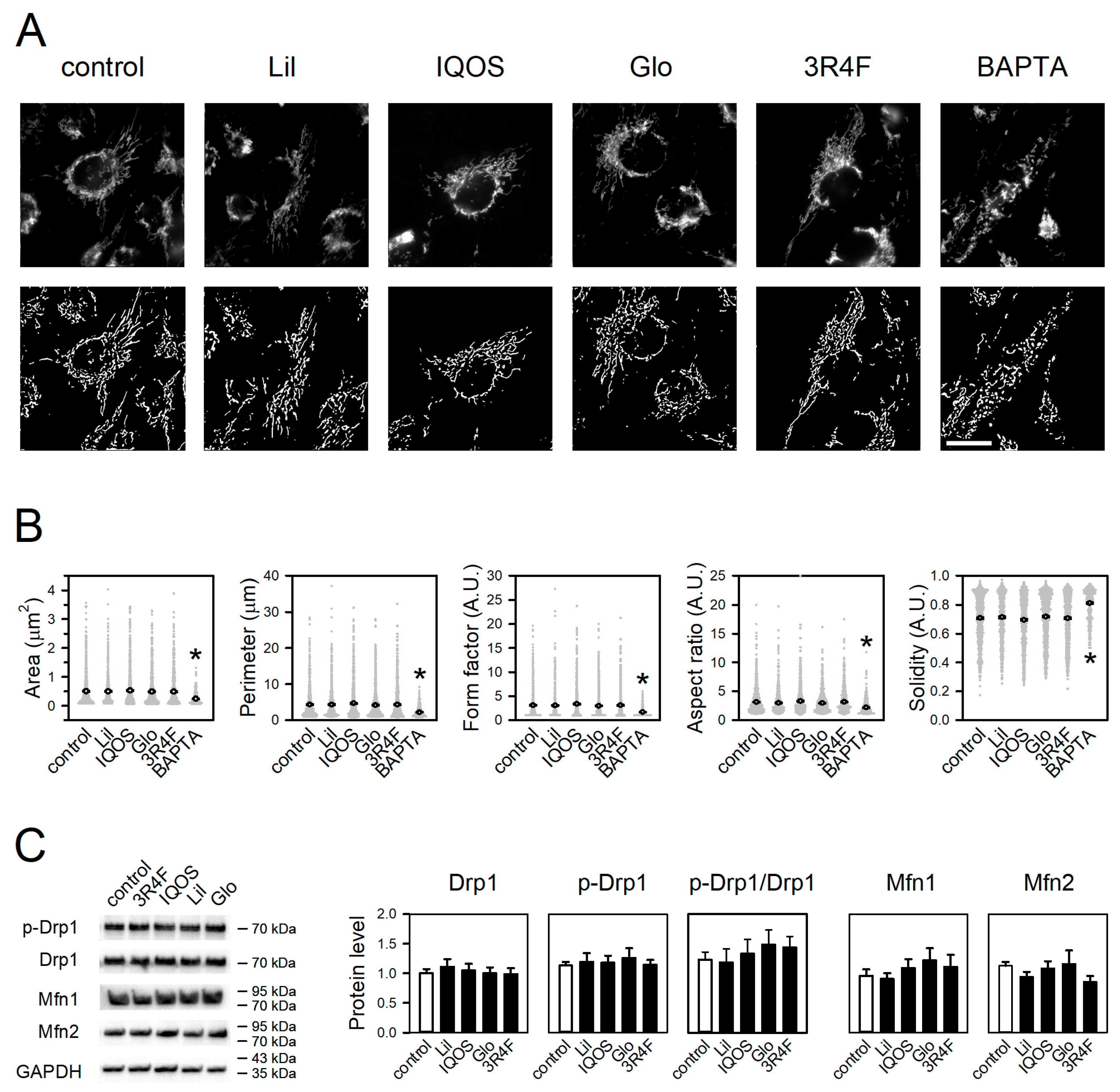 Antioxidants 14 01404 g007