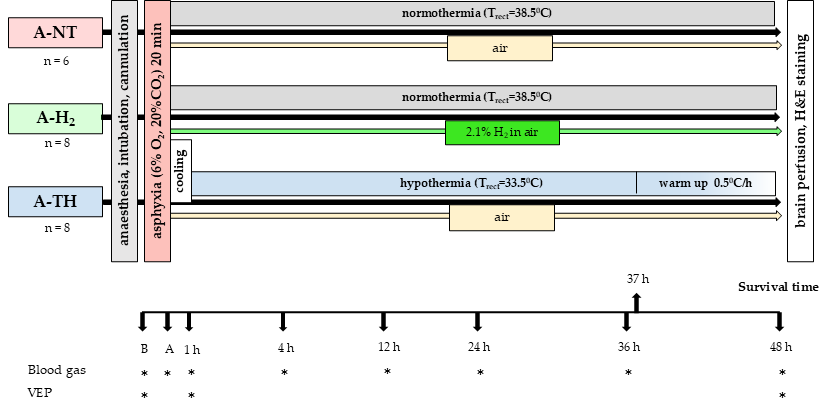 Antioxidants 14 01405 g001 Antioxidants 14 01405 g001