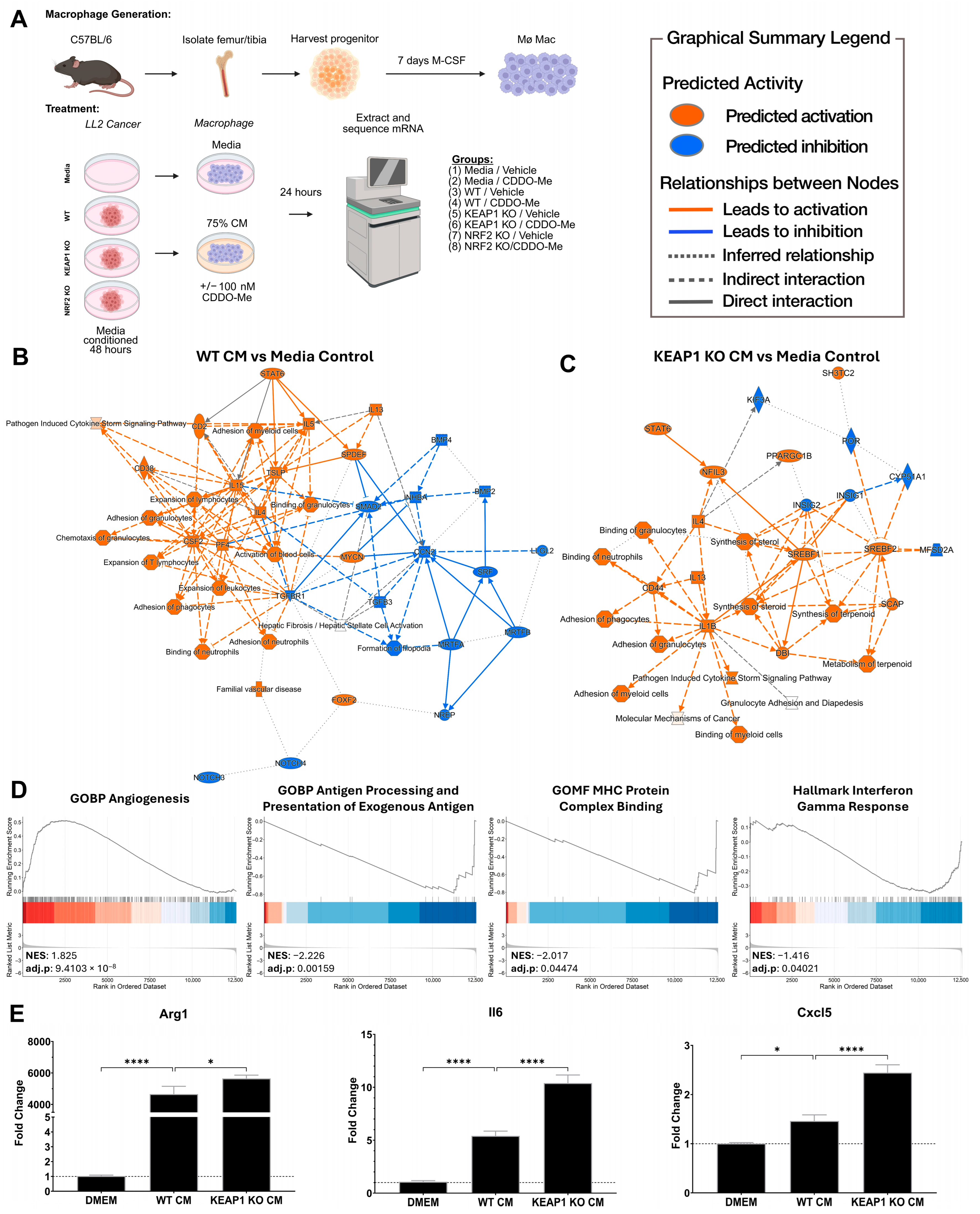 Antioxidants 14 01406 g001