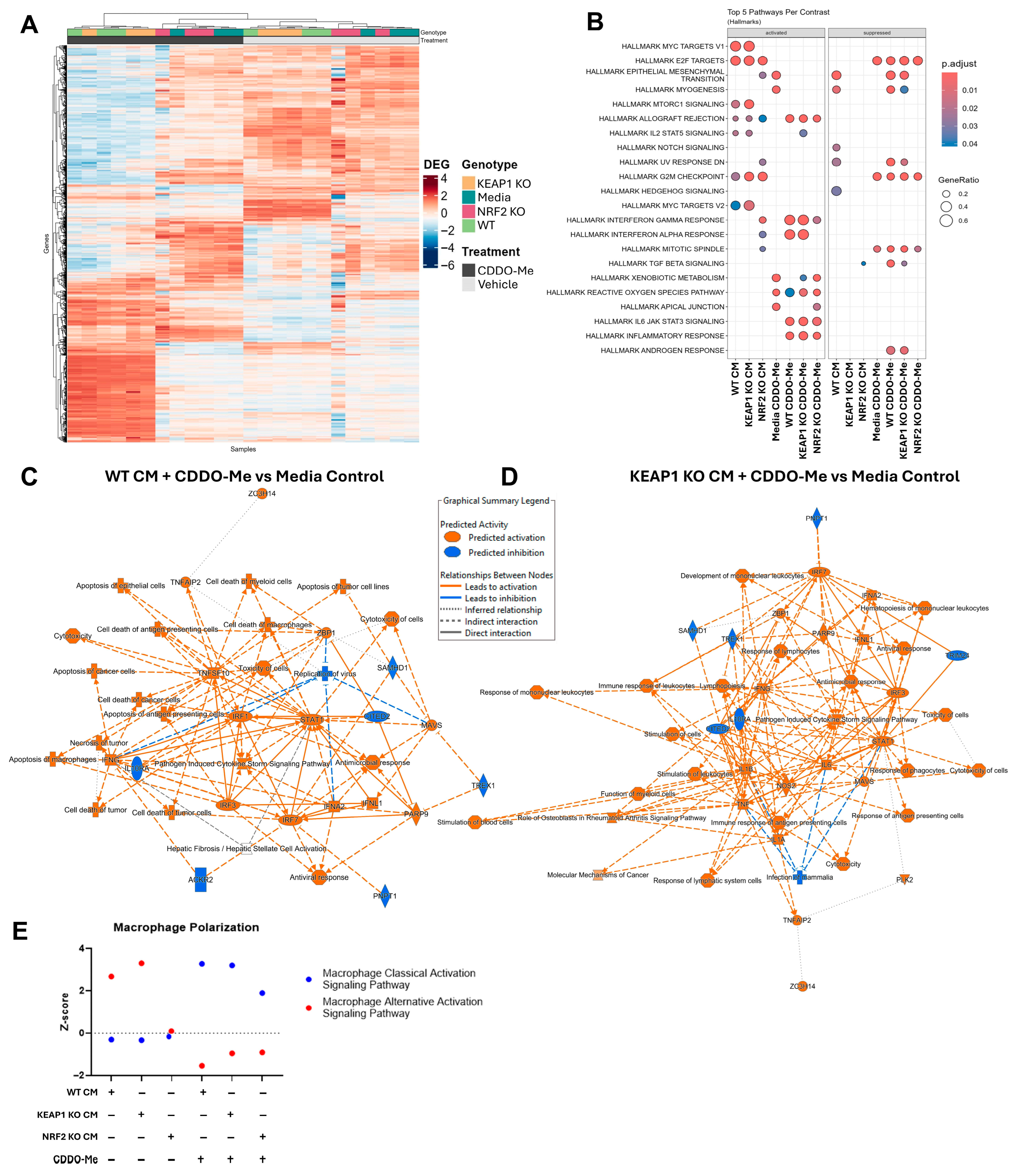 Antioxidants 14 01406 g002