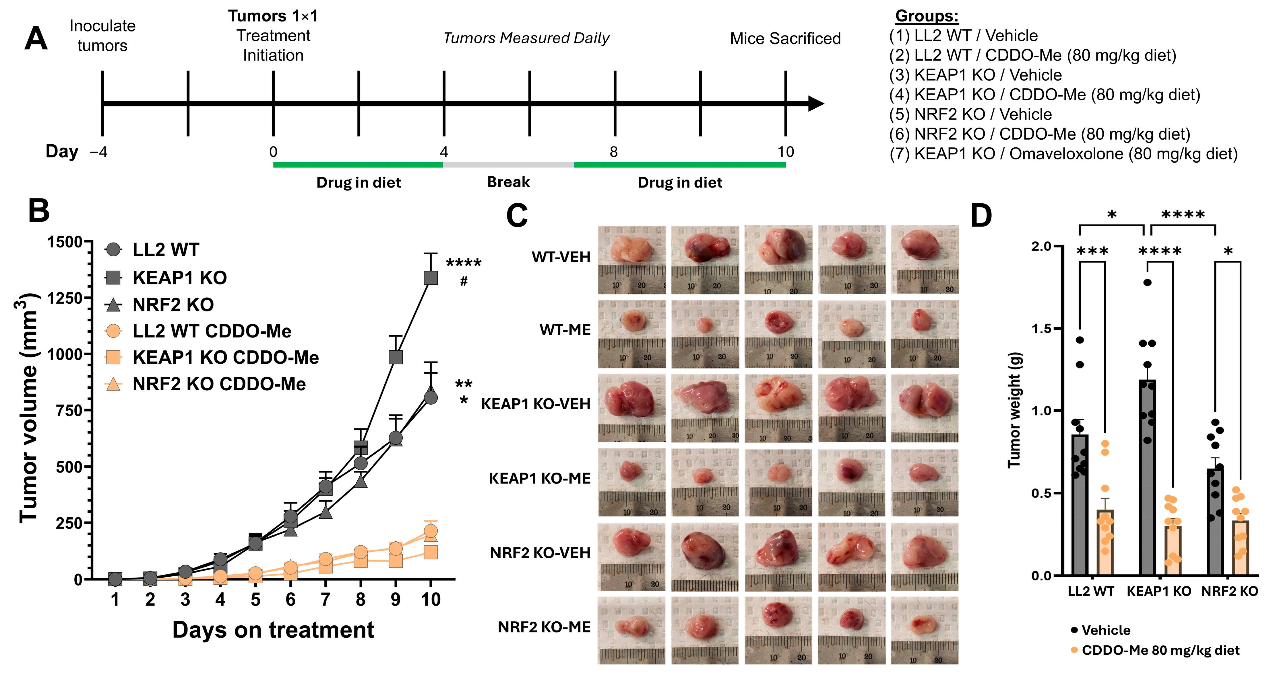 Antioxidants 14 01406 g003