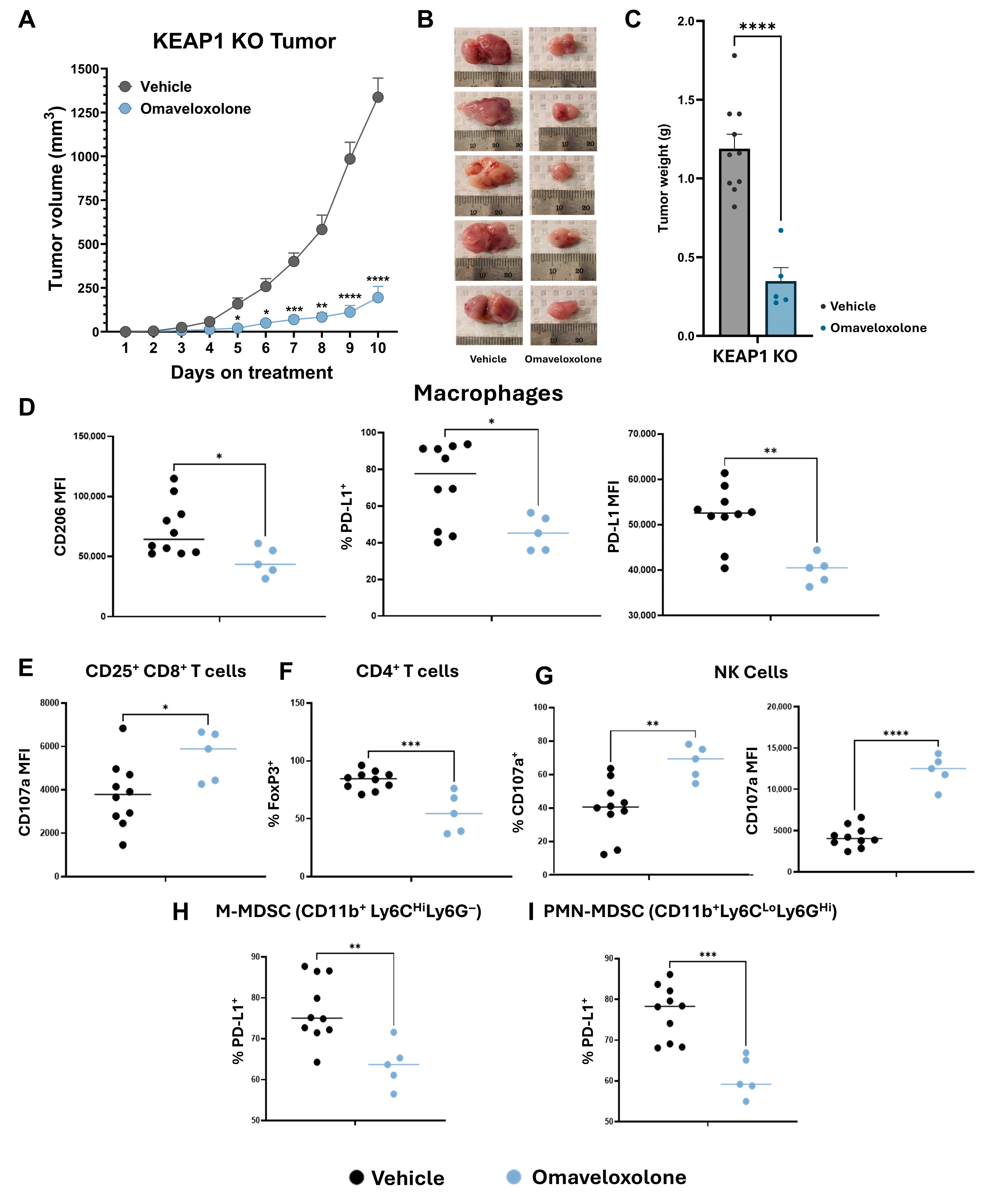 Antioxidants 14 01406 g005