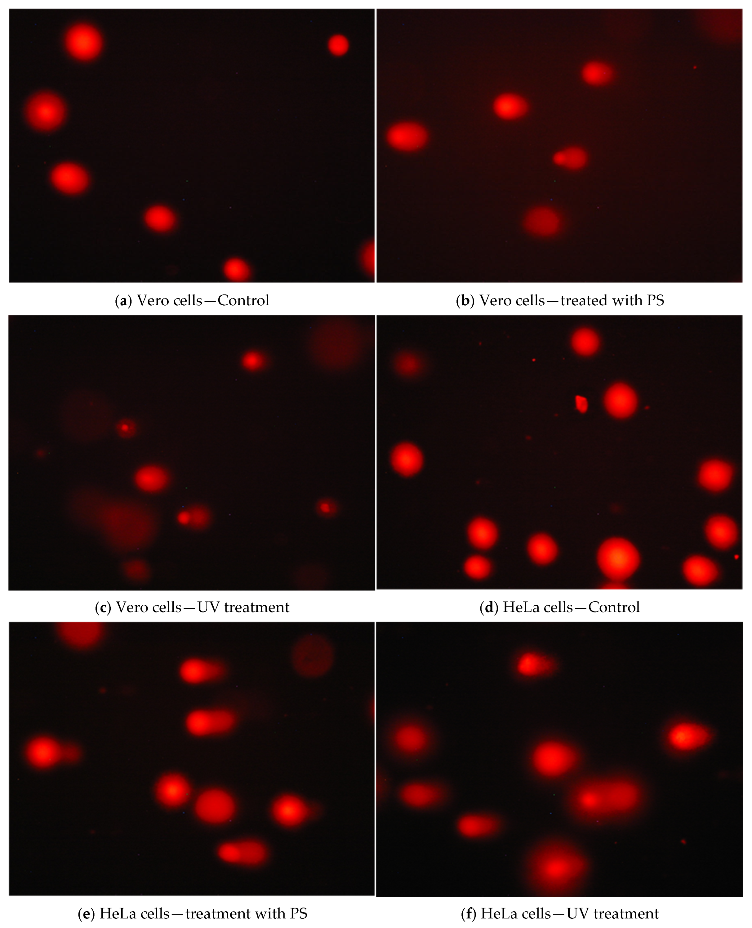 Antioxidants 14 01408 g006