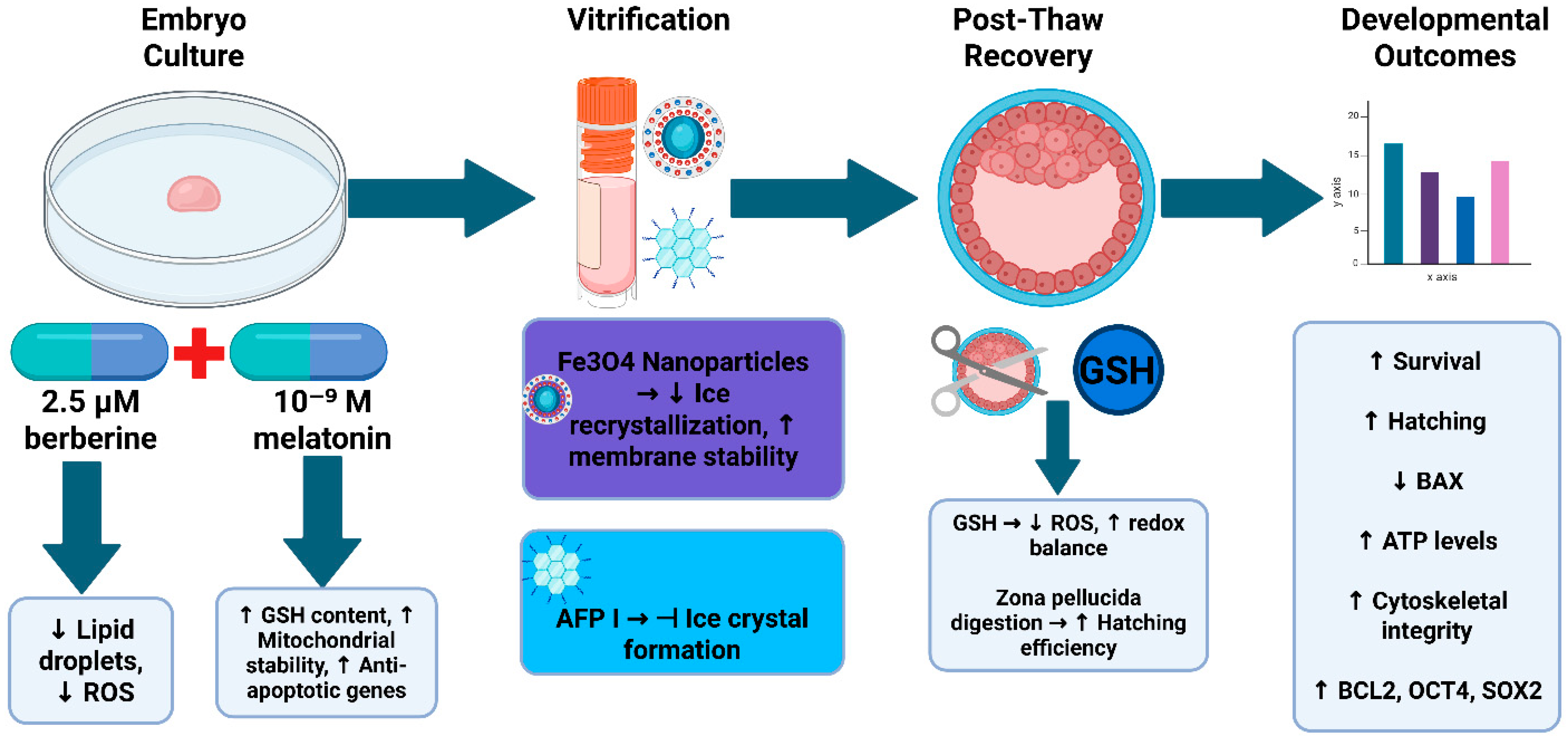 Antioxidants 14 01412 g005 Antioxidants 14 01412 g005