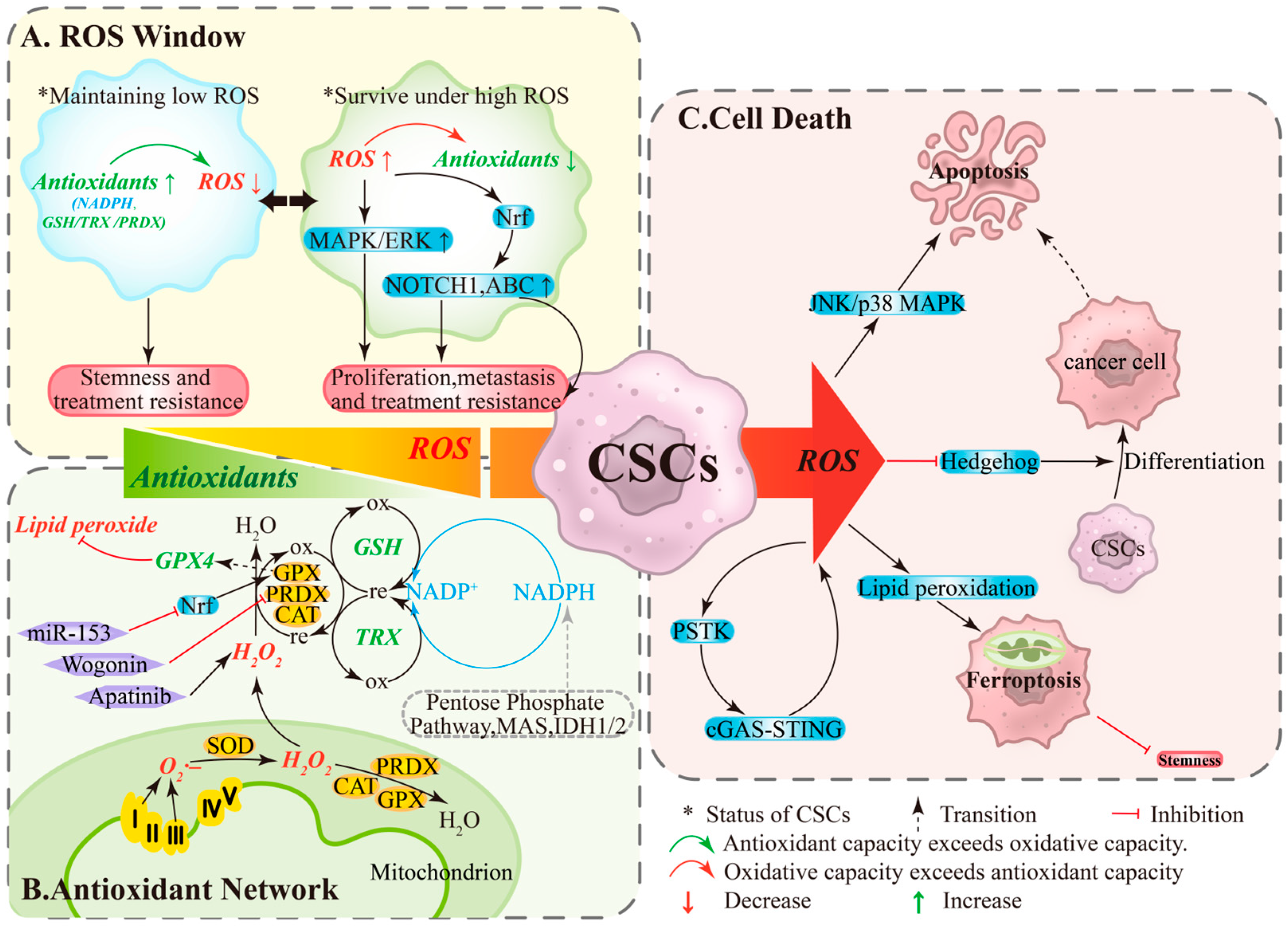 Antioxidants 14 01413 g001