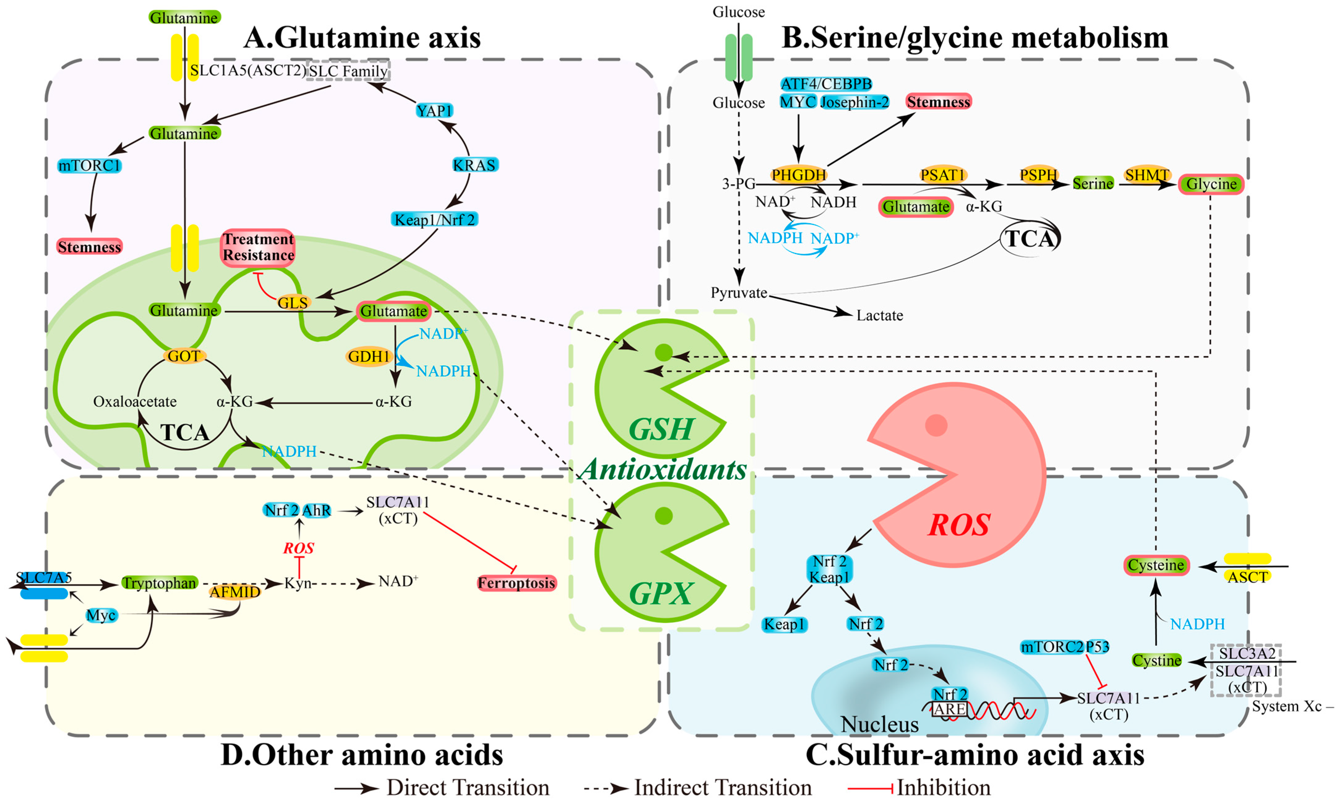 Antioxidants 14 01413 g002