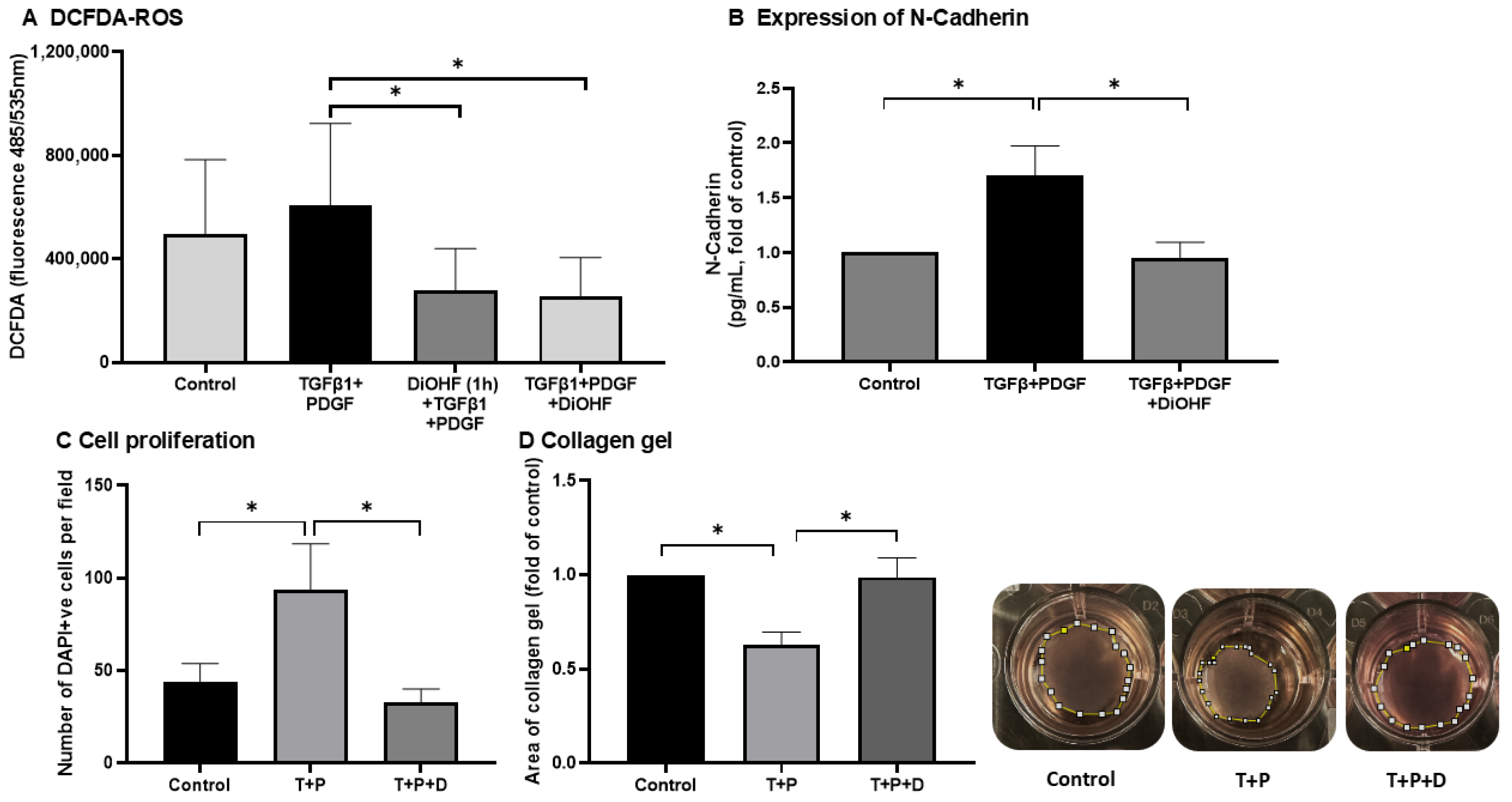 Antioxidants 14 01414 g001
