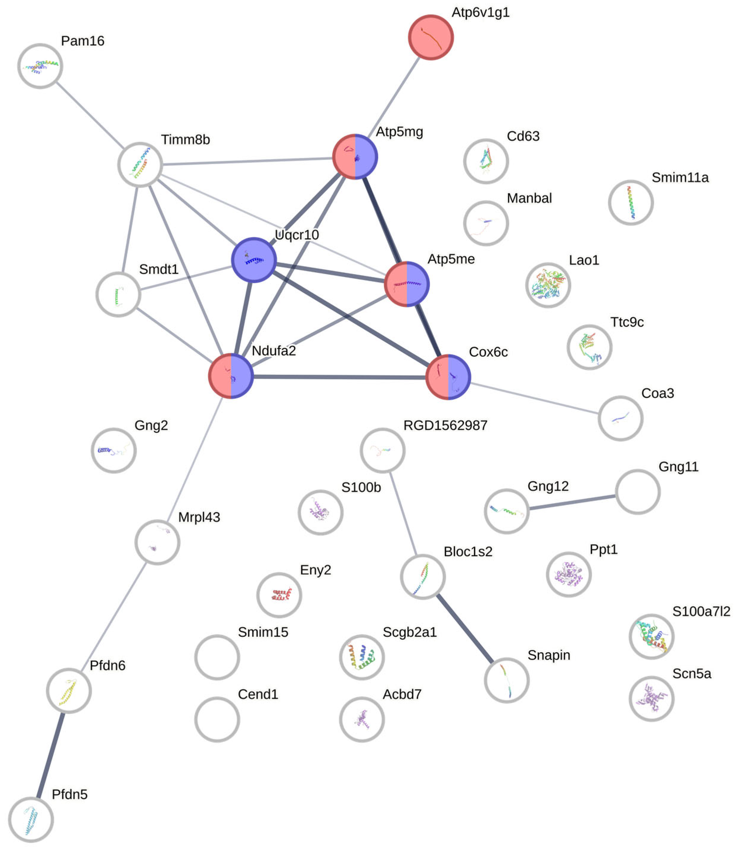 Antioxidants 14 01414 g005