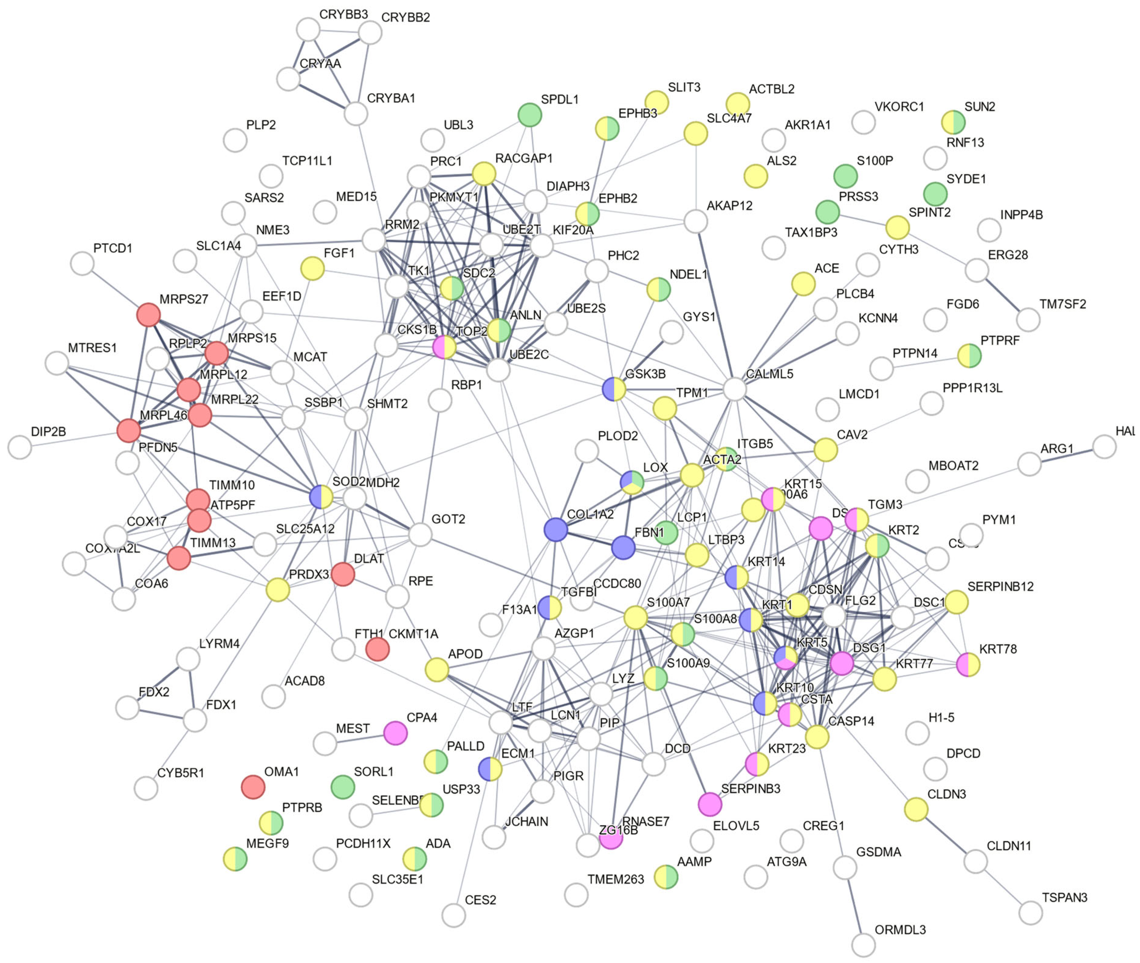 Antioxidants 14 01414 g006