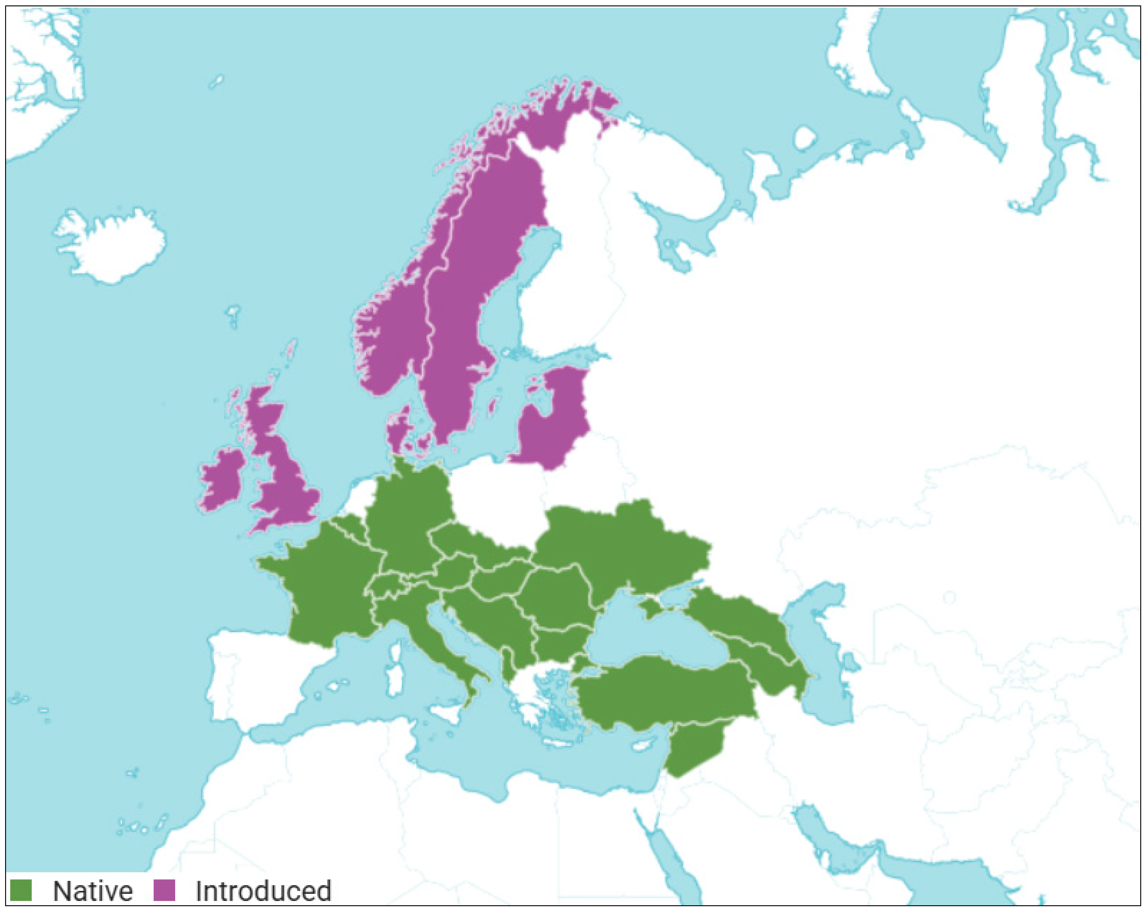 Antioxidants 14 01419 g001