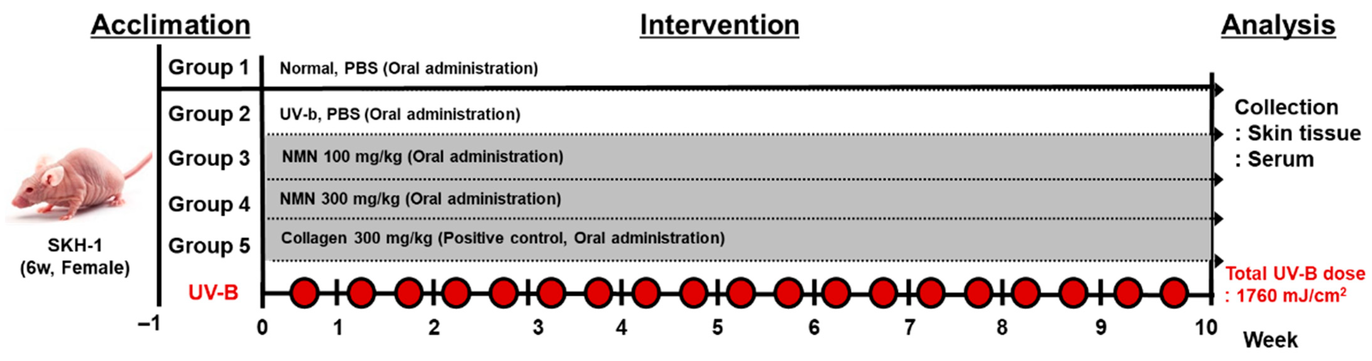 Antioxidants 14 01424 g001 Antioxidants 14 01424 g001