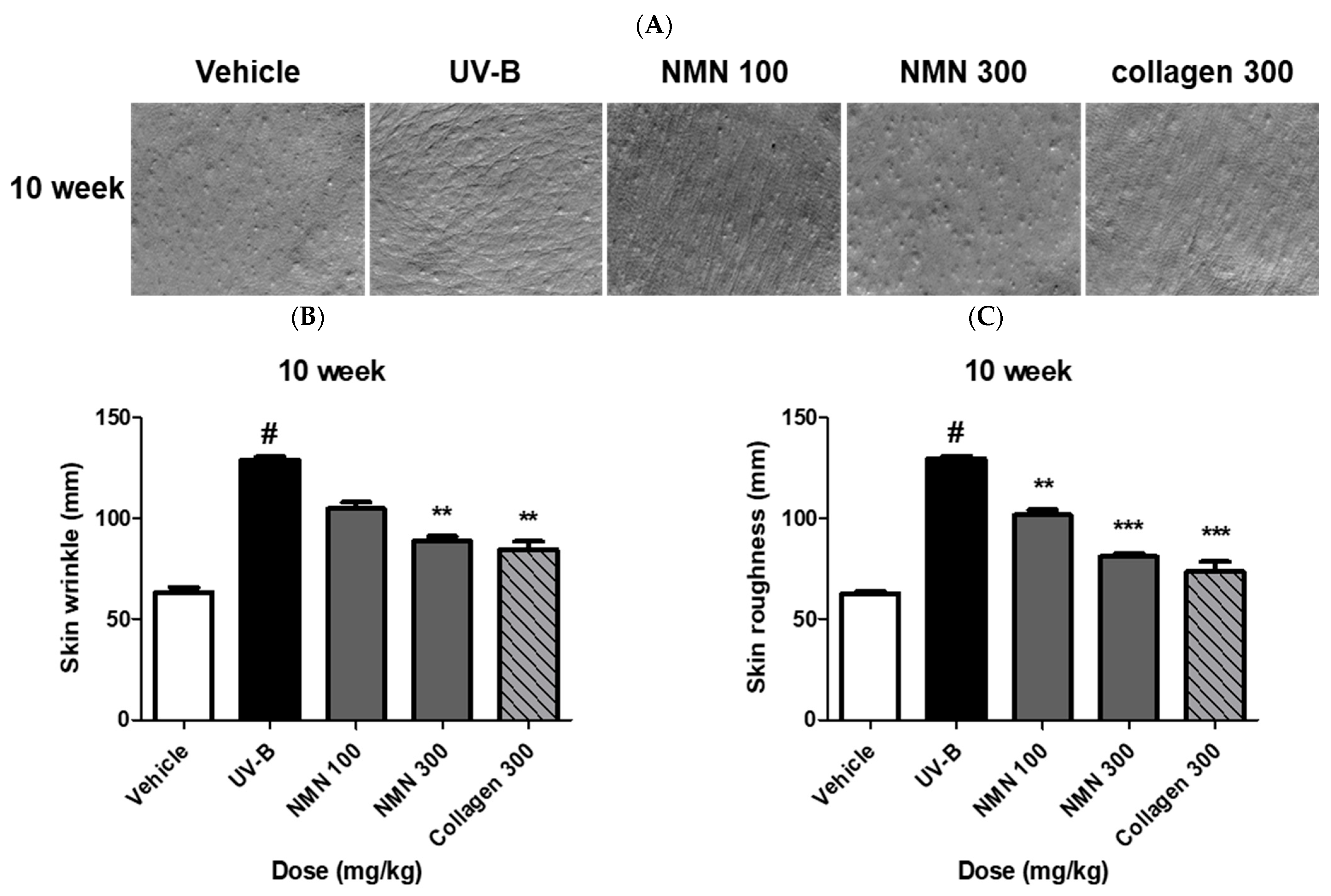 Antioxidants 14 01424 g003 Antioxidants 14 01424 g003