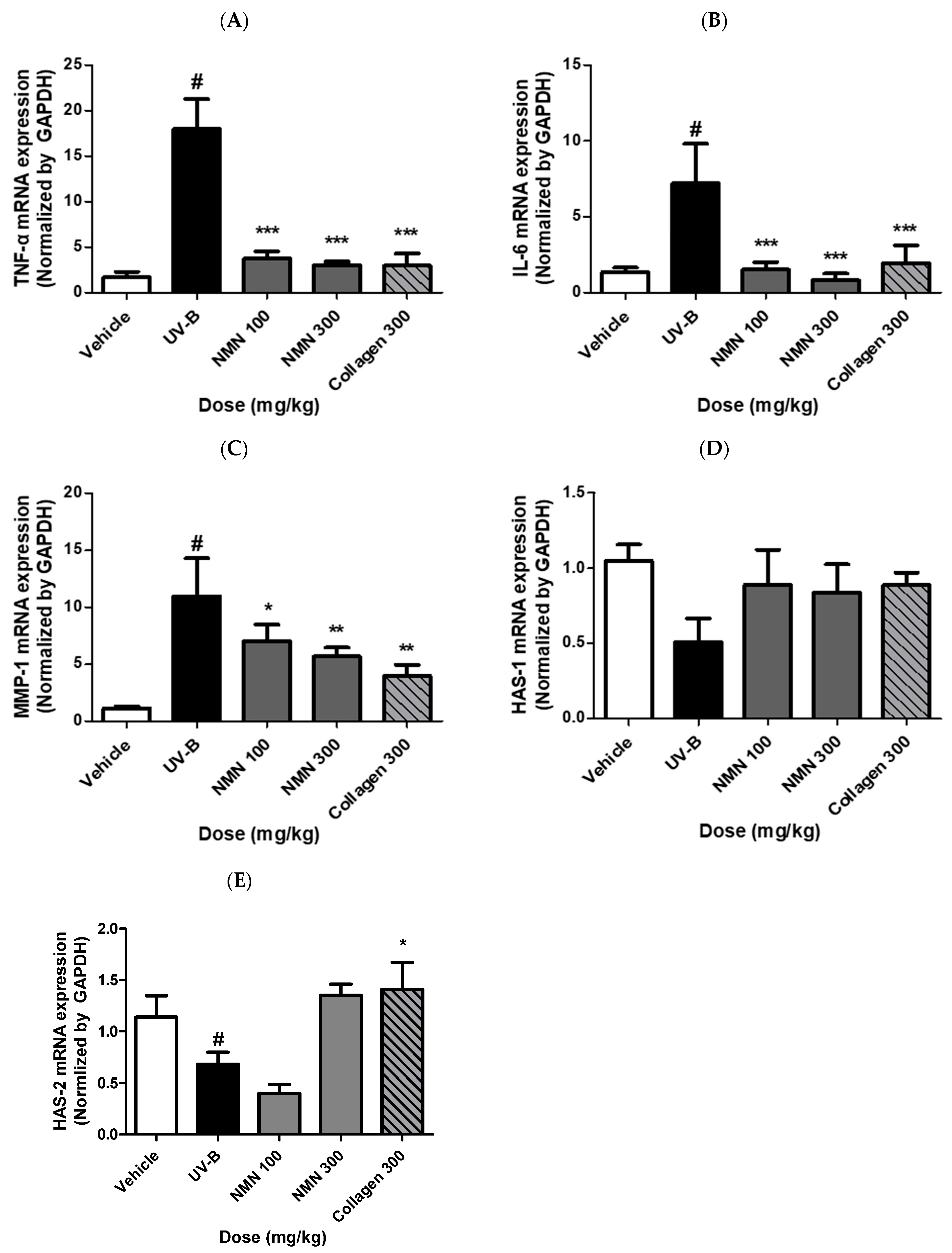 Antioxidants 14 01424 g006 Antioxidants 14 01424 g006