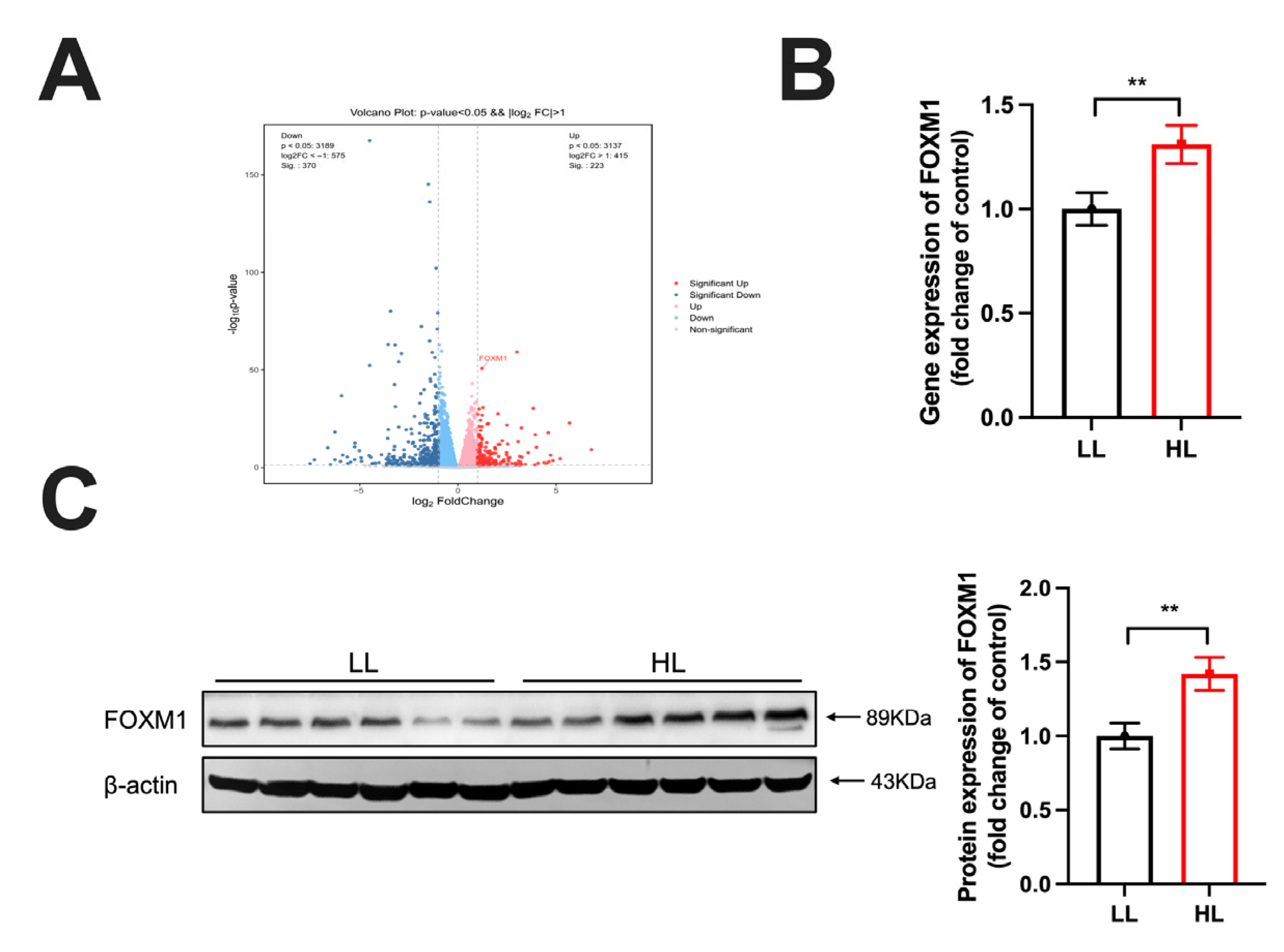Antioxidants 14 01425 g003