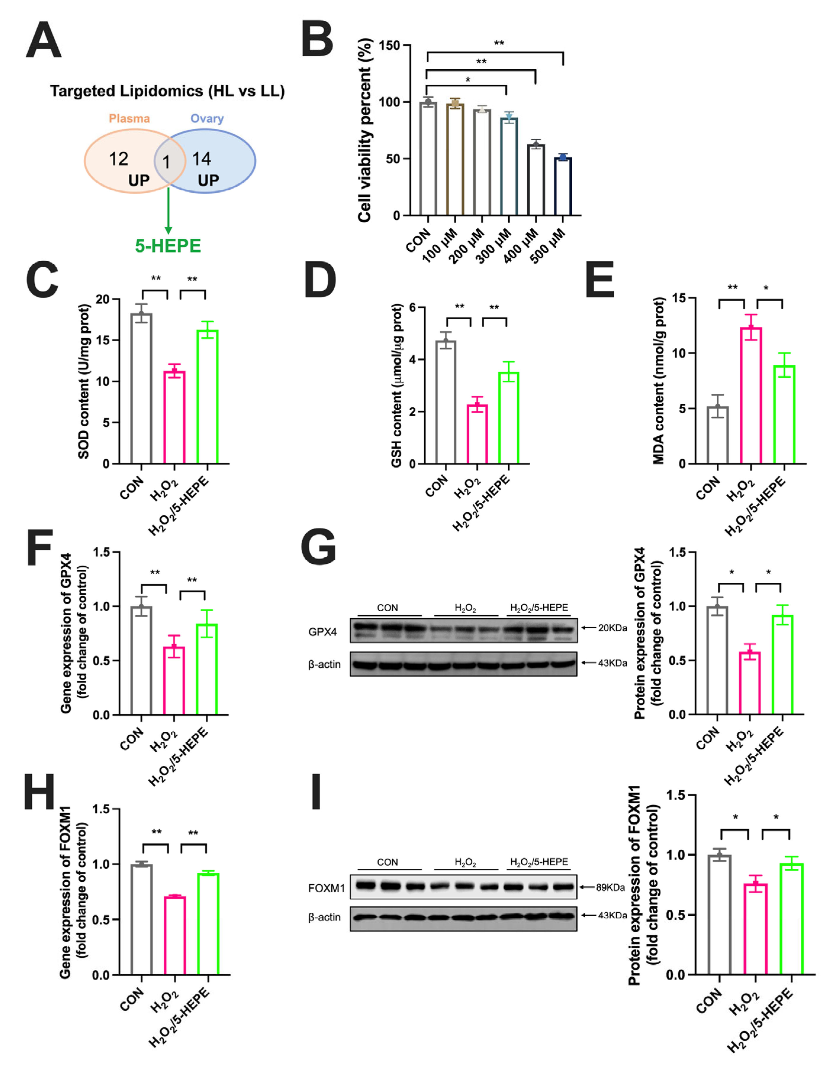 Antioxidants 14 01425 g007