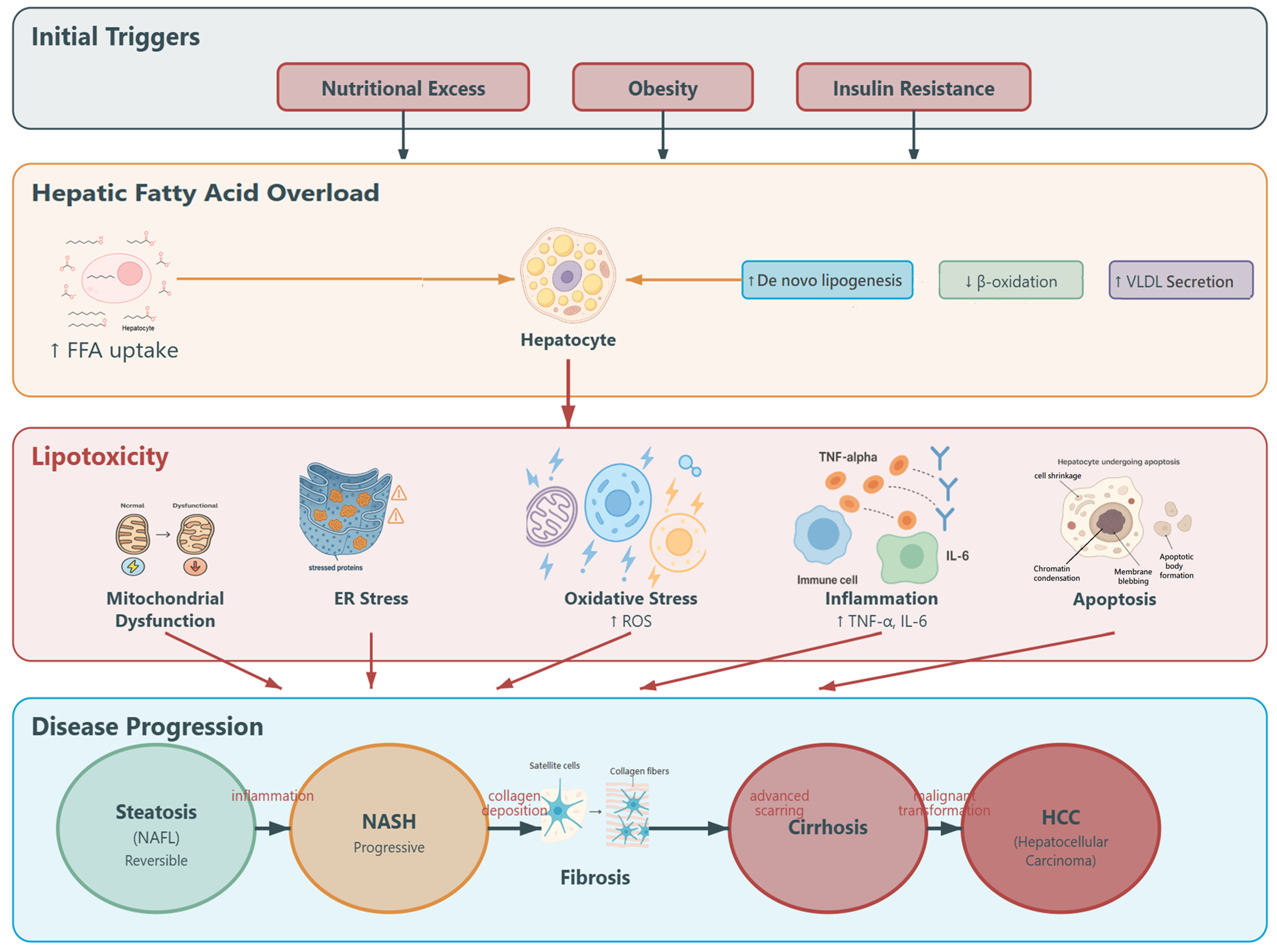 Antioxidants 14 01432 g001