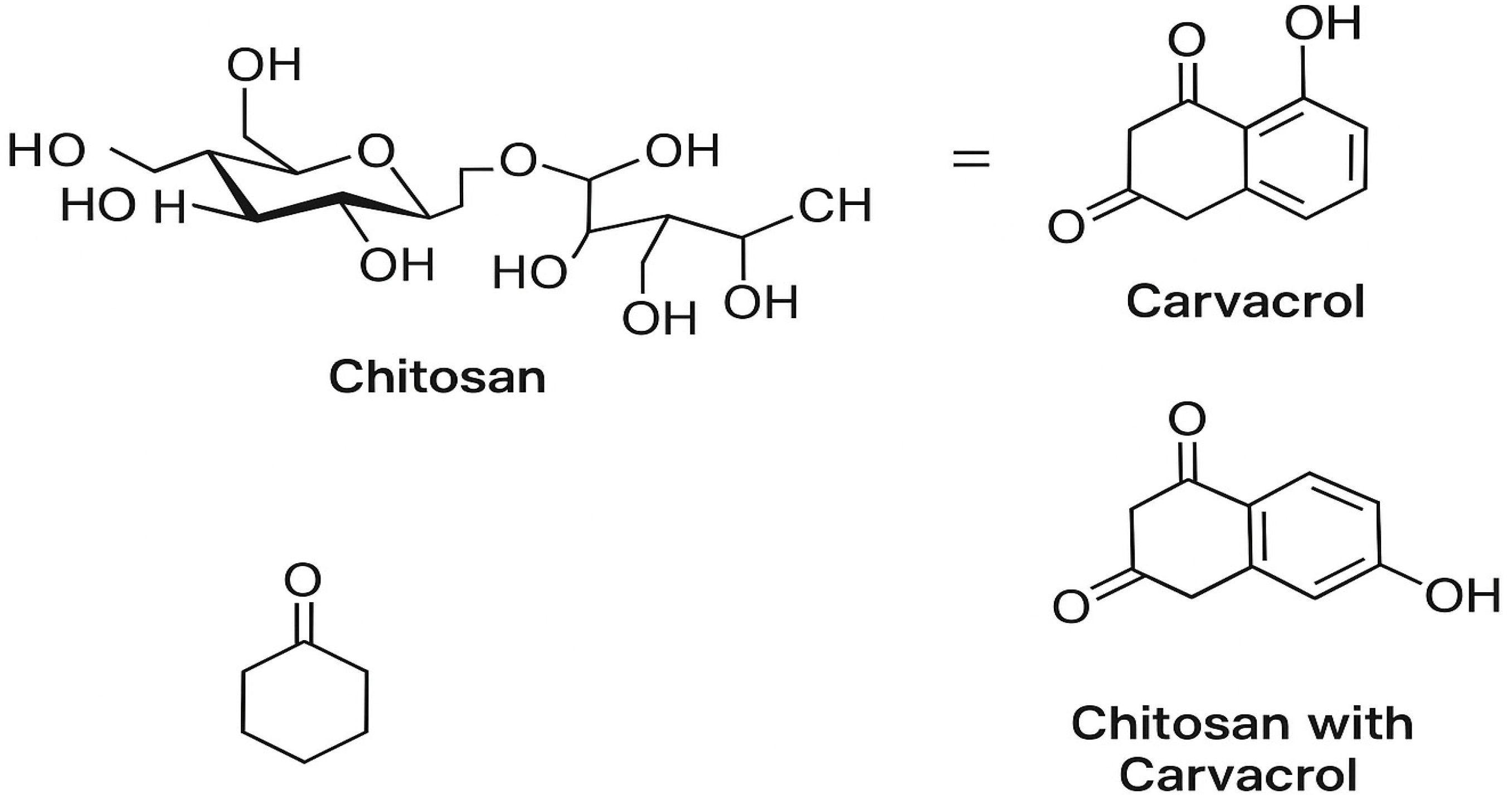 Antioxidants 14 01432 g003